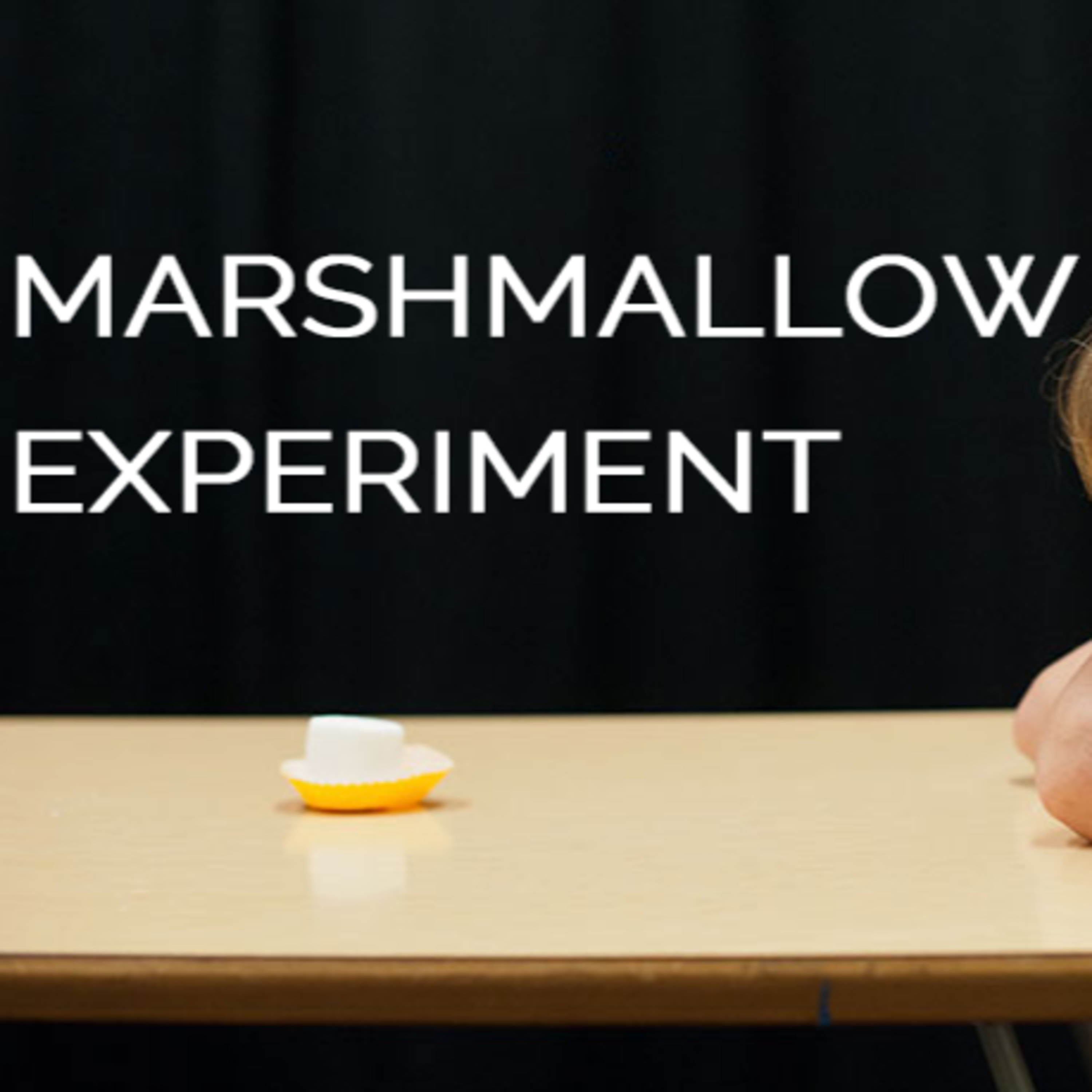 Motievee - Hindi book summaries and motivation