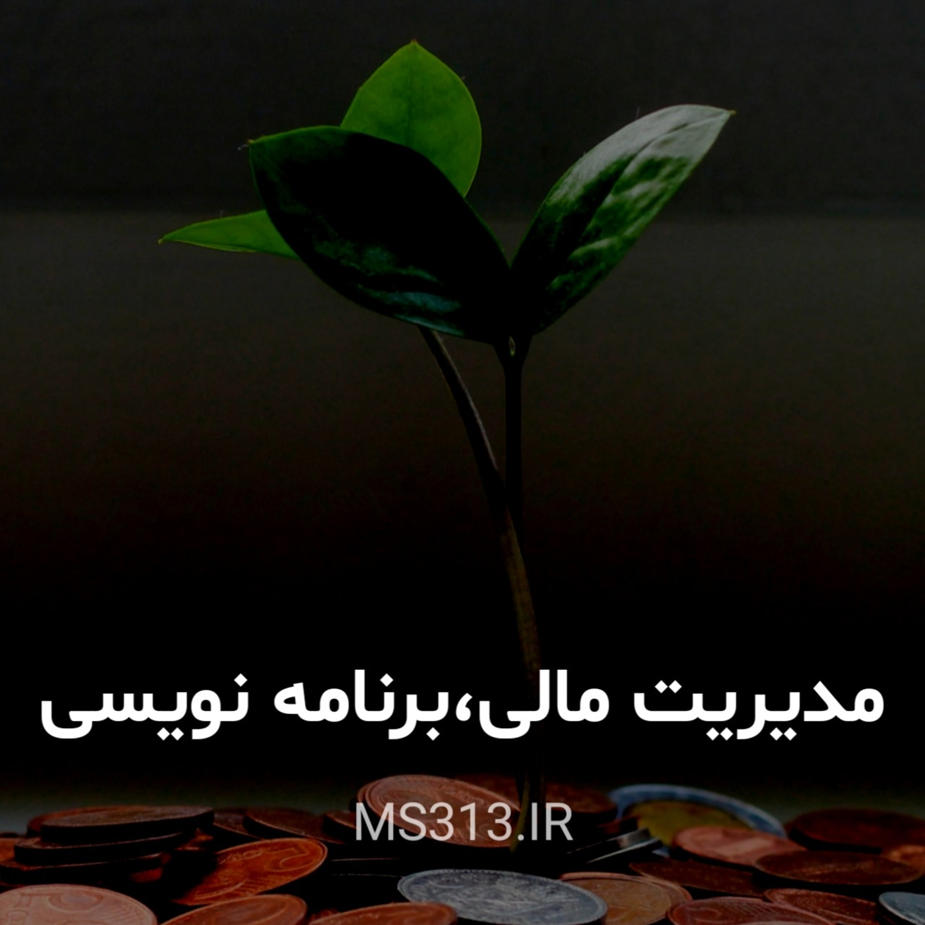 کاور مدیریت مالی ویژهی برنامه نویس ها