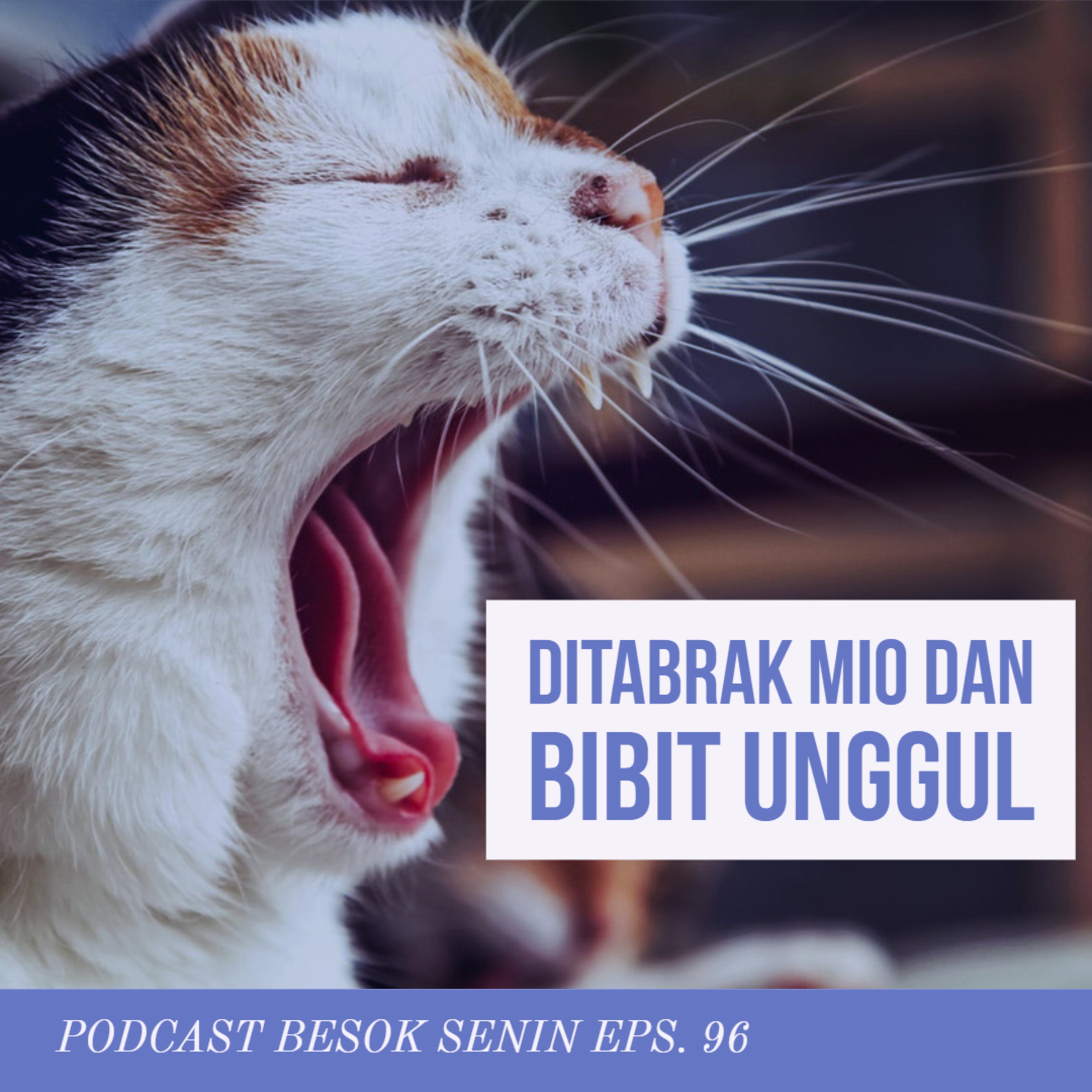 Besok Senin.