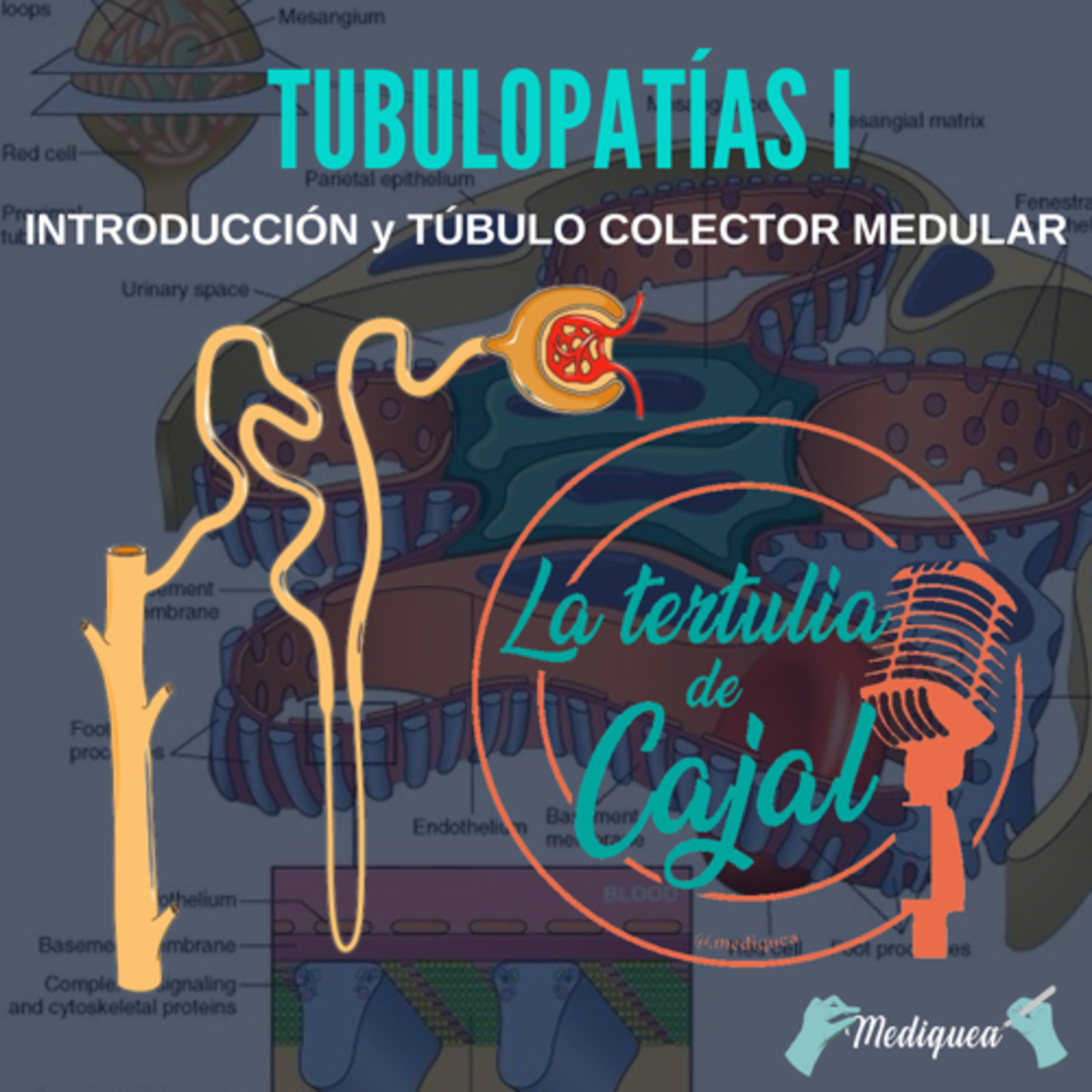 La Tertulia de Cajal