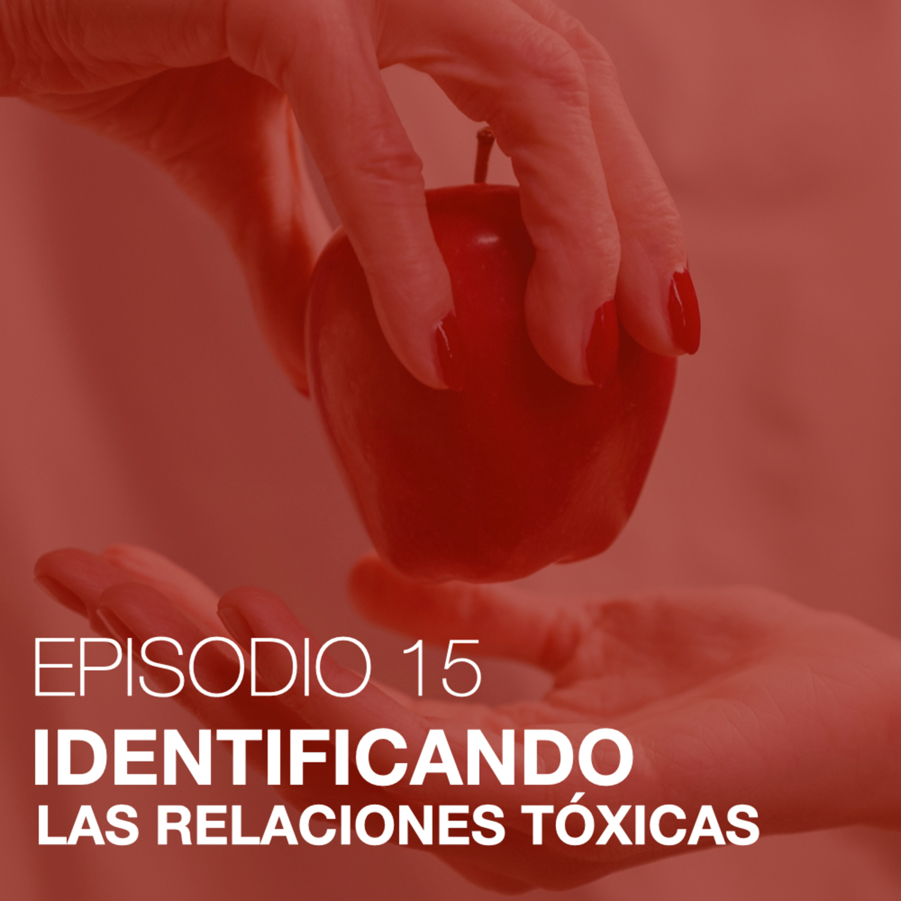 Toy en Descorche