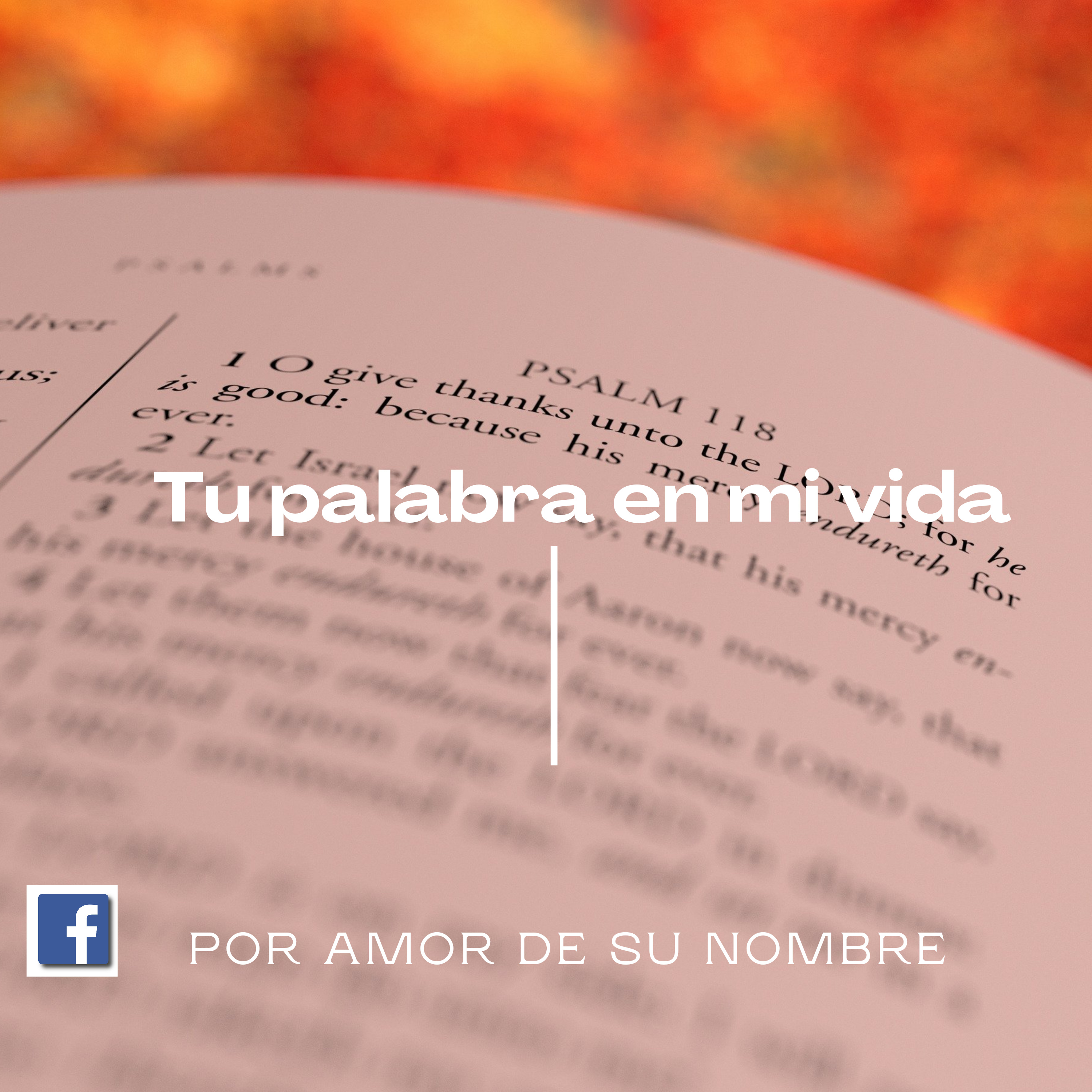 SERIE. TU PALABRA EN MI VIDA. 1. La ley de Jehová es perfecta. episode artwork