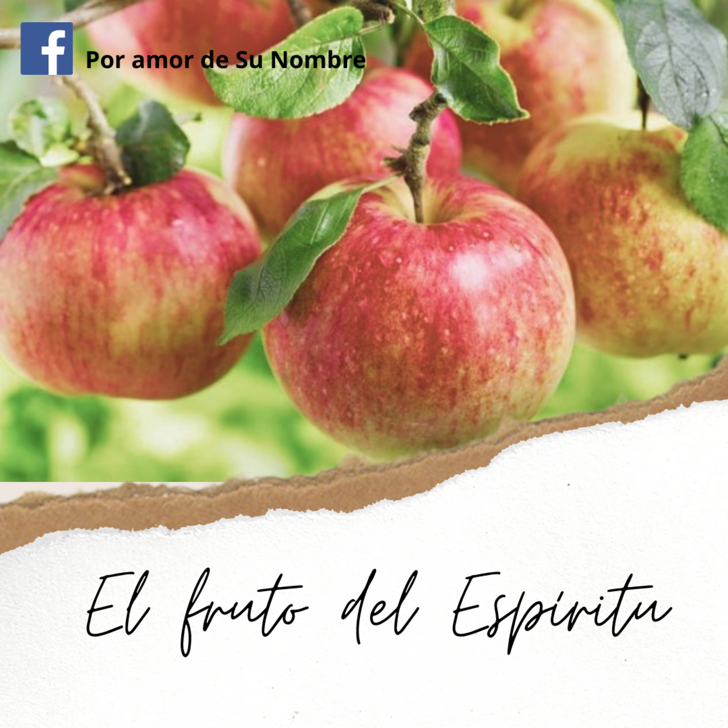 SERIE. El fruto del Espíritu. 2. Amor episode artwork