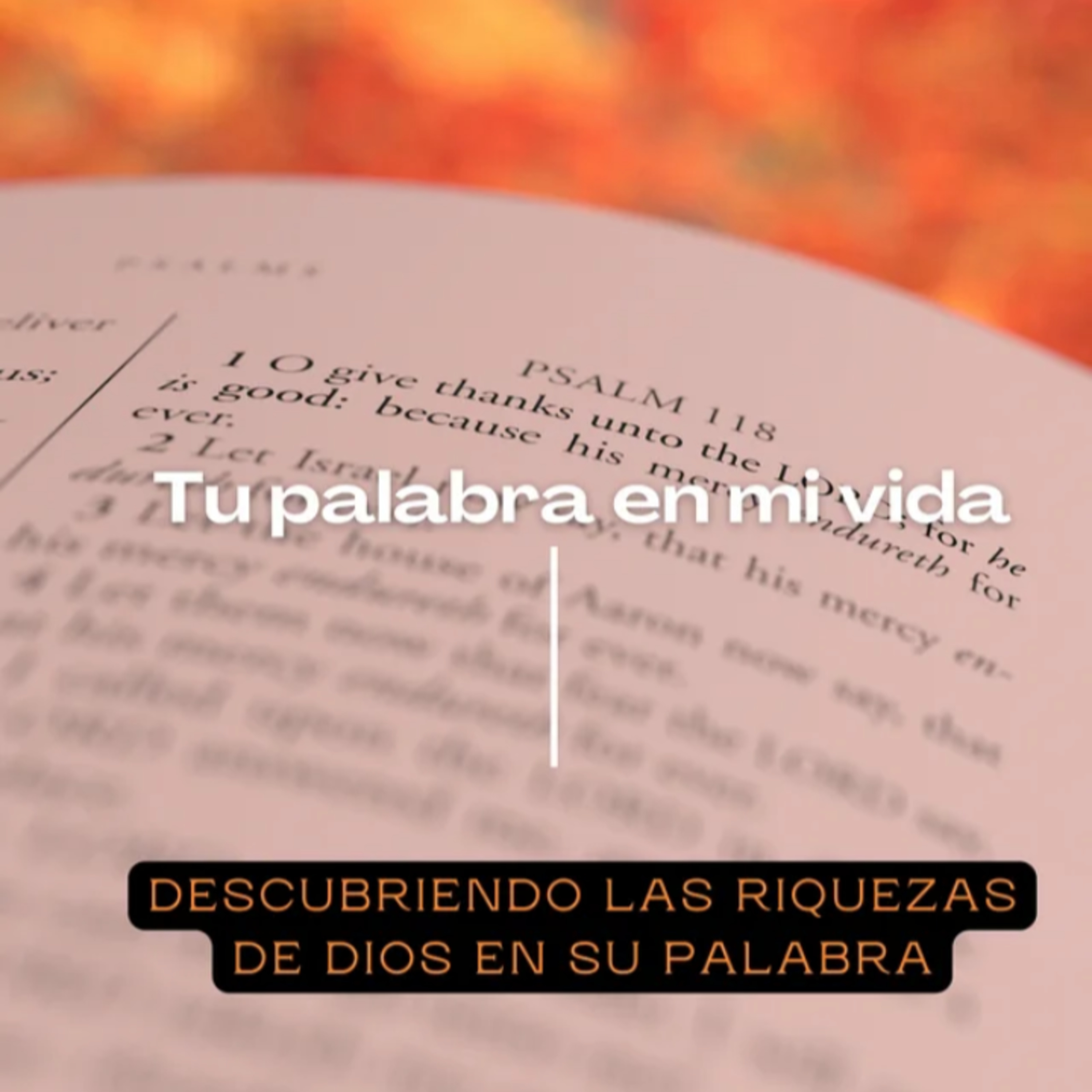 Tu Palabra en mi vida - 6. "Mandamientos" - usos y aplicaciones.  episode artwork
