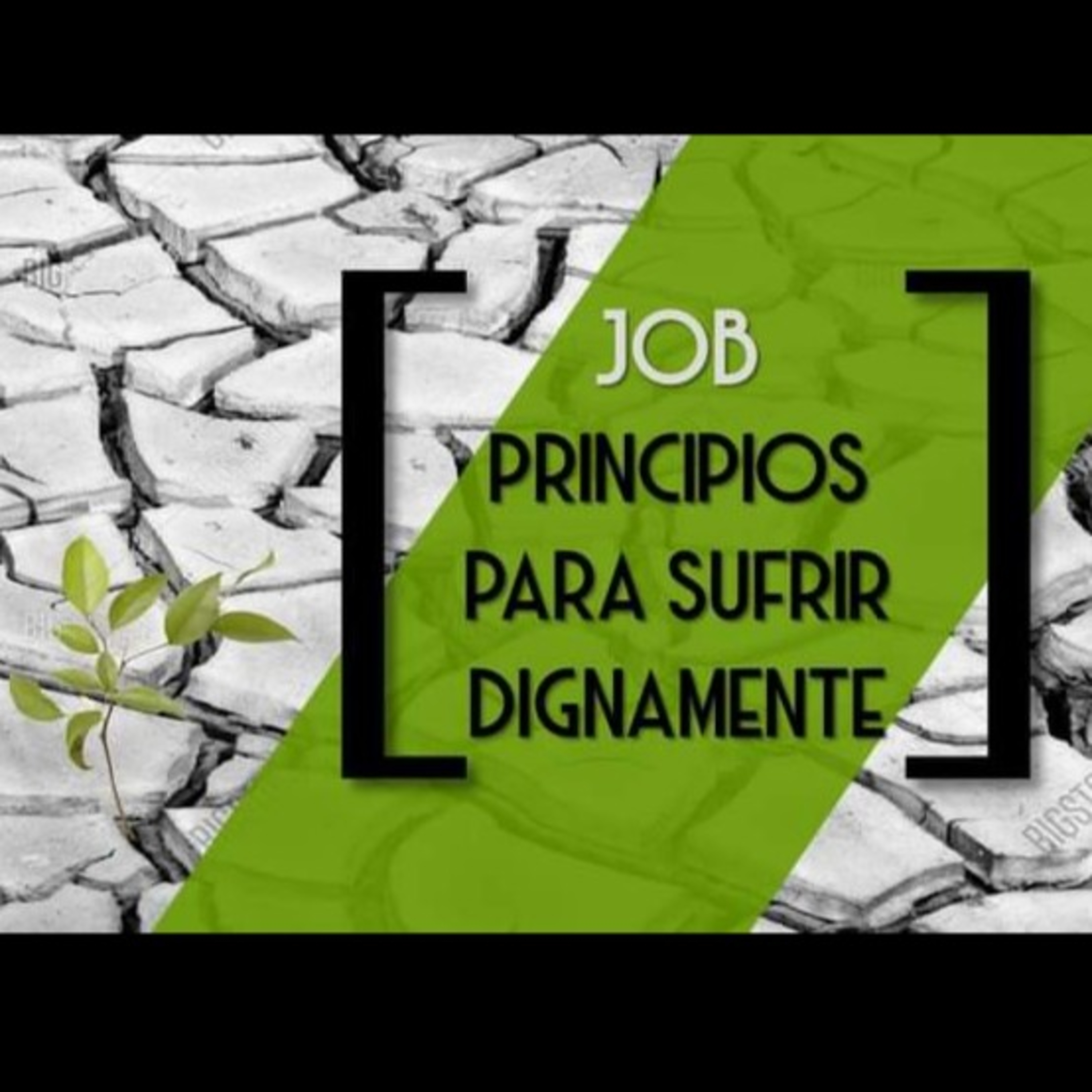 ESTUDIO EN CASA - JOB - 1. Nuestro conflicto con el sufrimiento "injusto". episode artwork