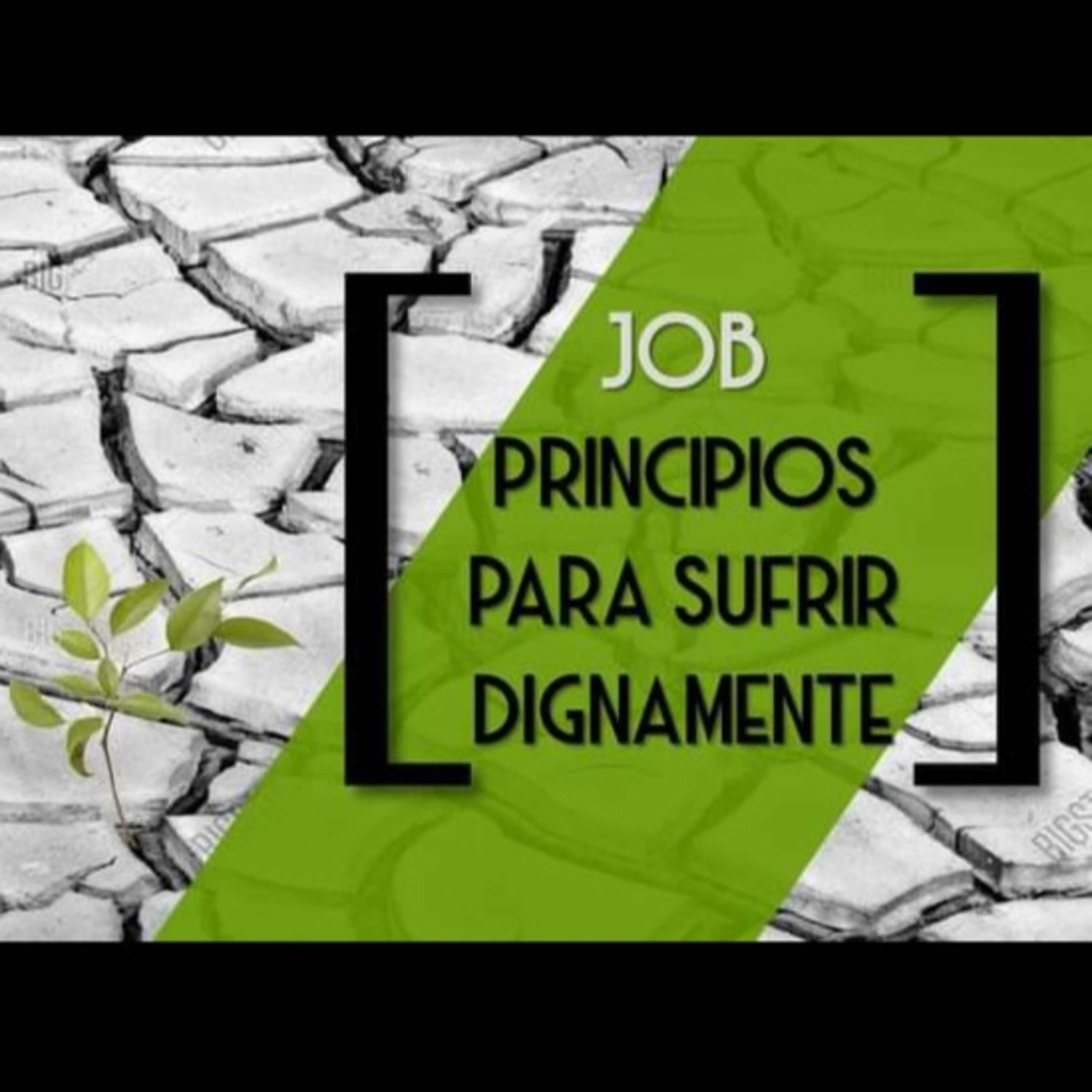 ESTUDIO EN CASA - JOB. 2. Suposiciones y conjeturas: El conflicto de la desesperanza. episode artwork