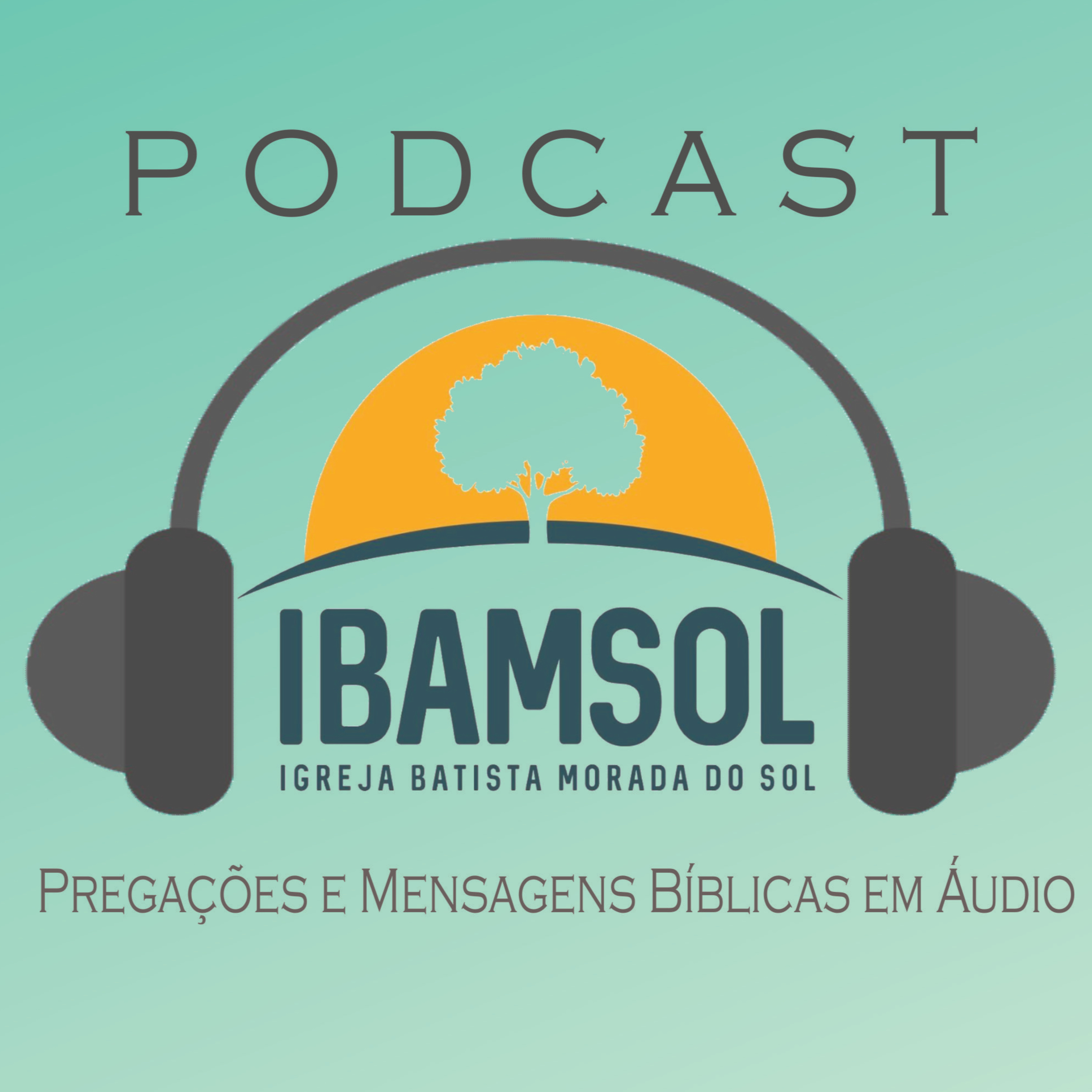 IBAMSOL