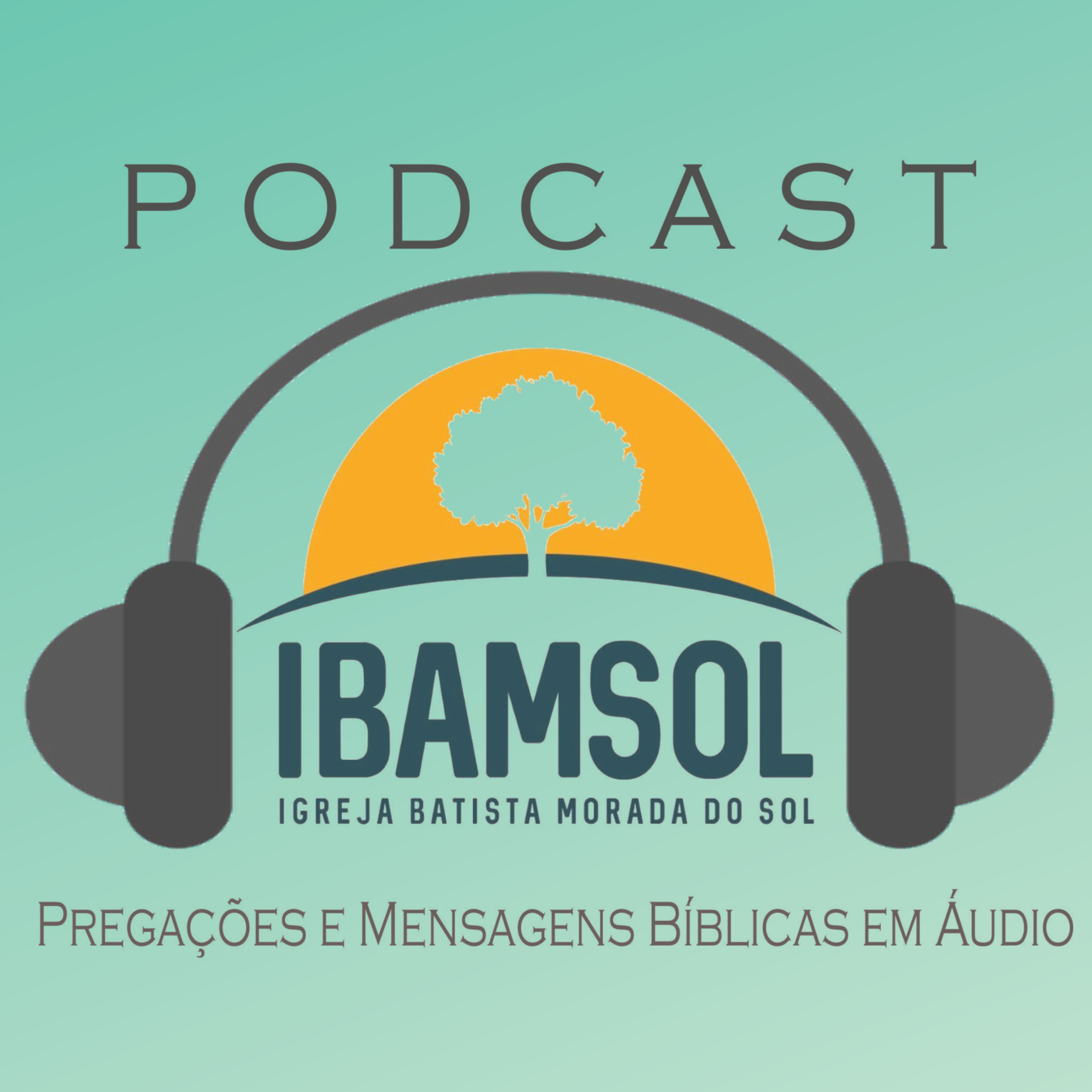 IBAMSOL