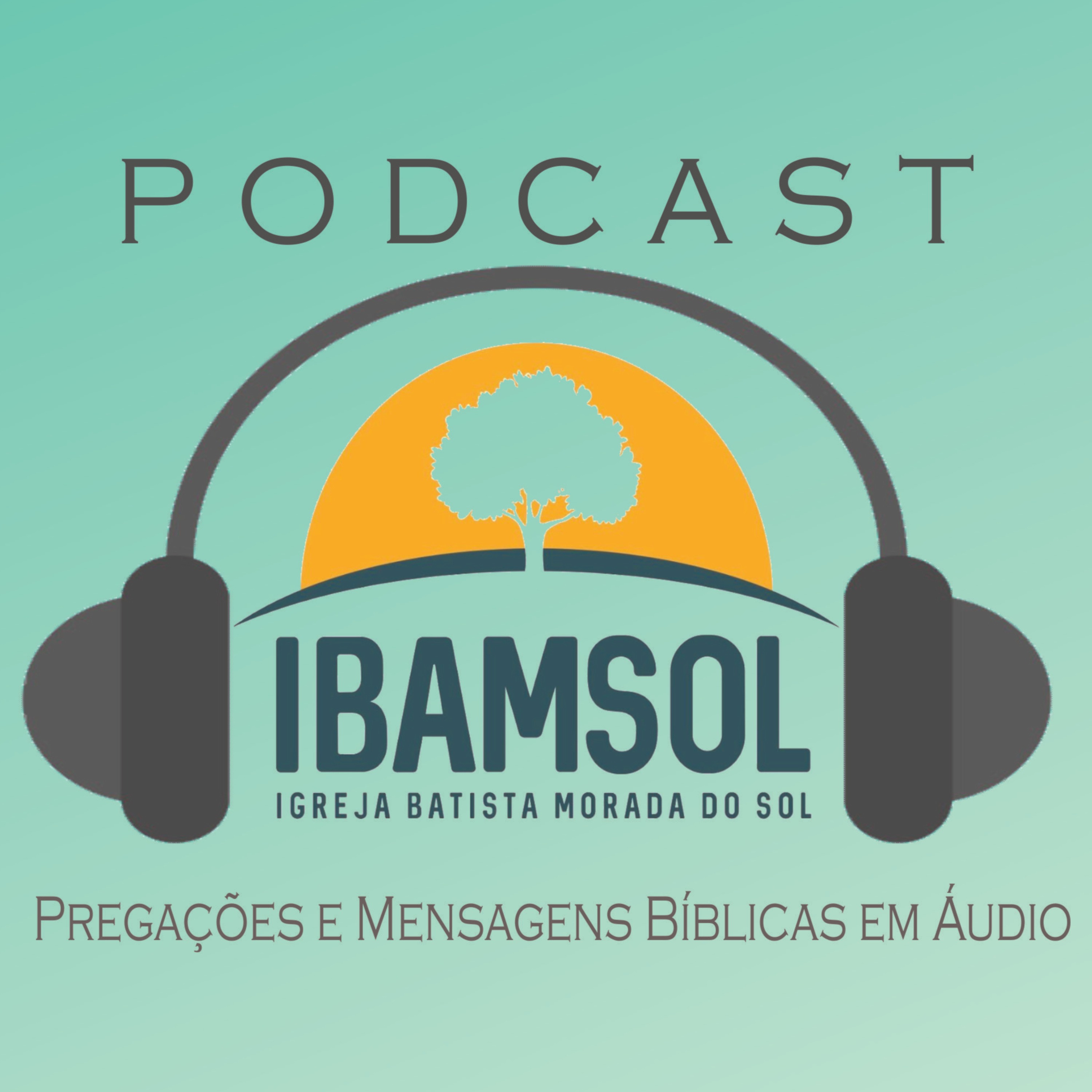 IBAMSOL