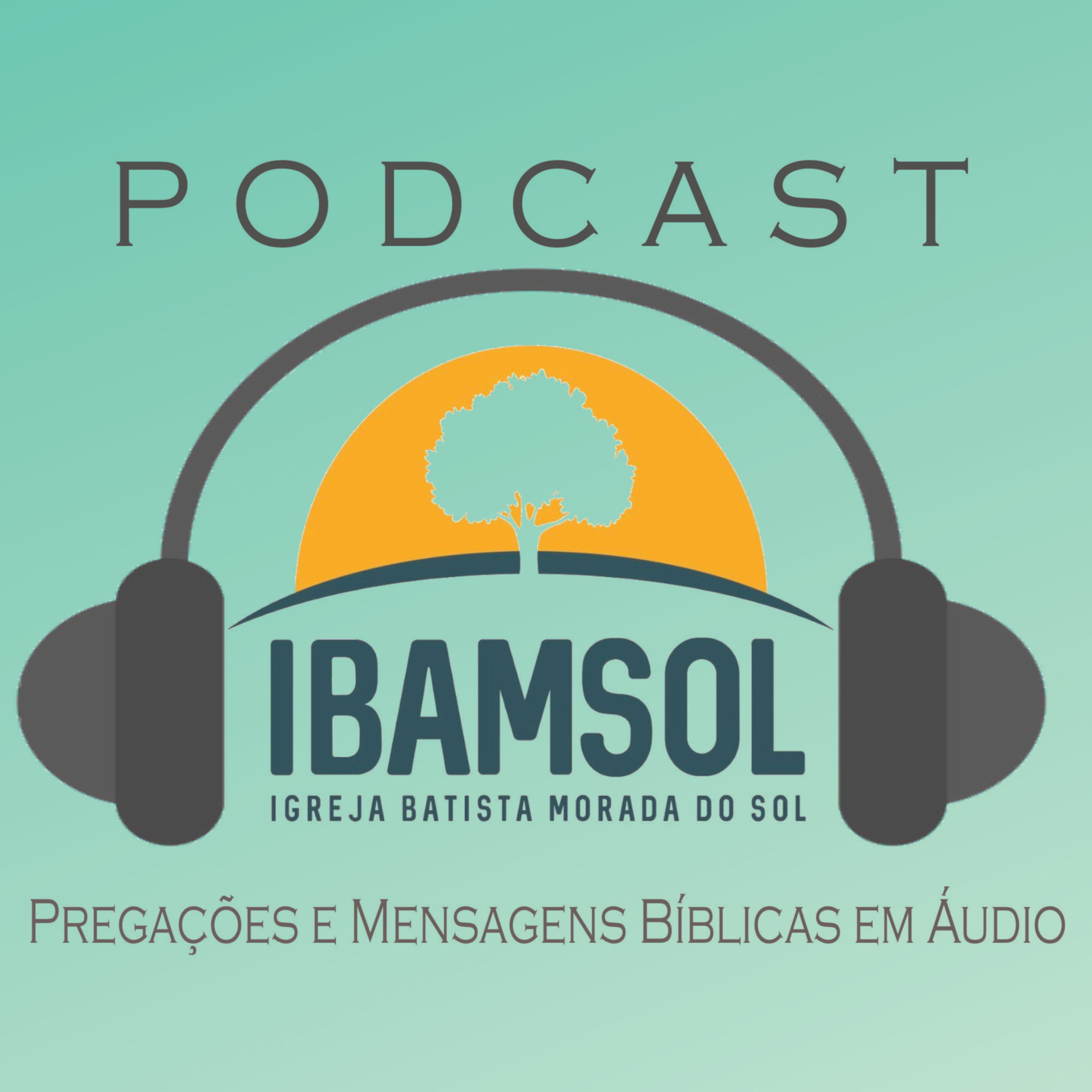 IBAMSOL