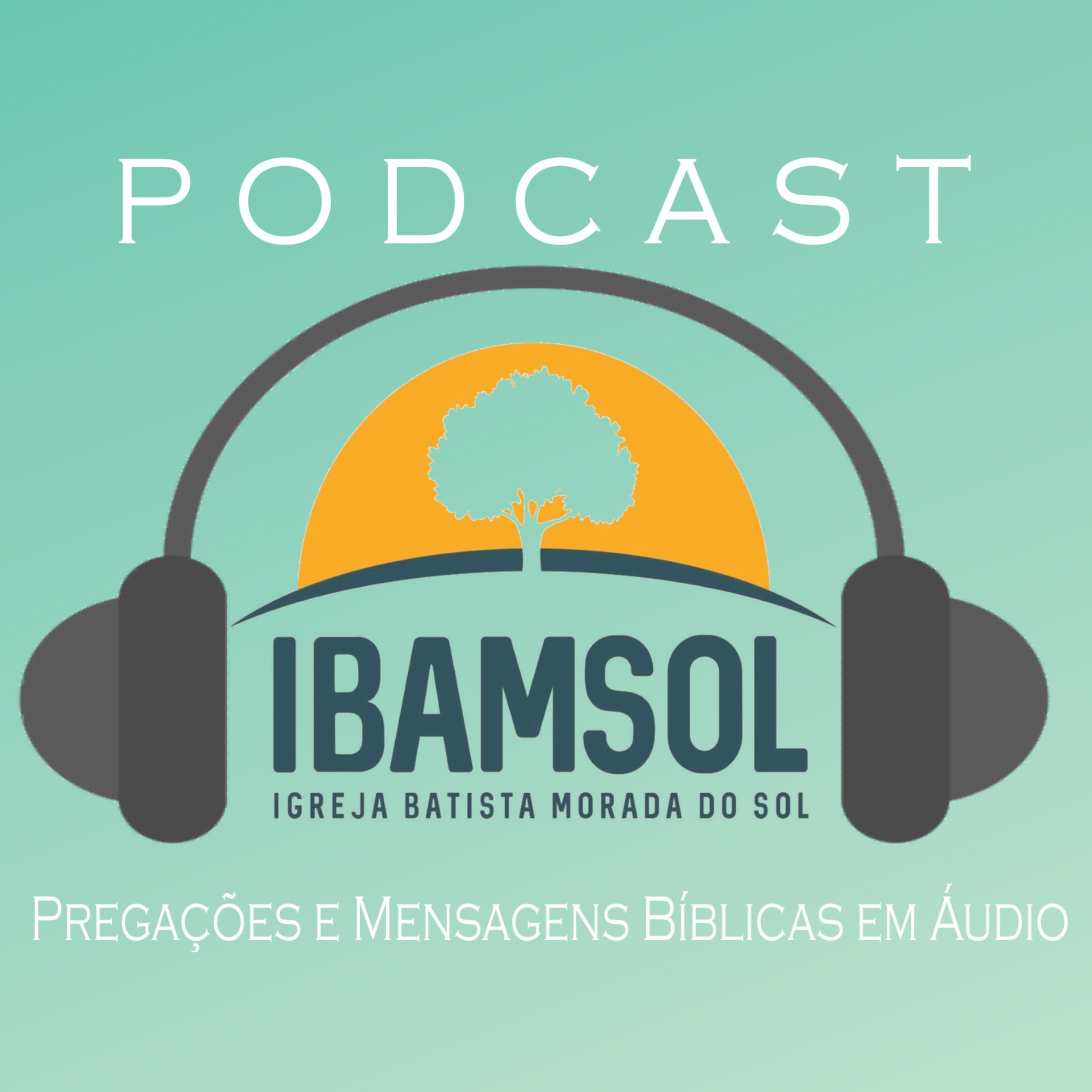 IBAMSOL
