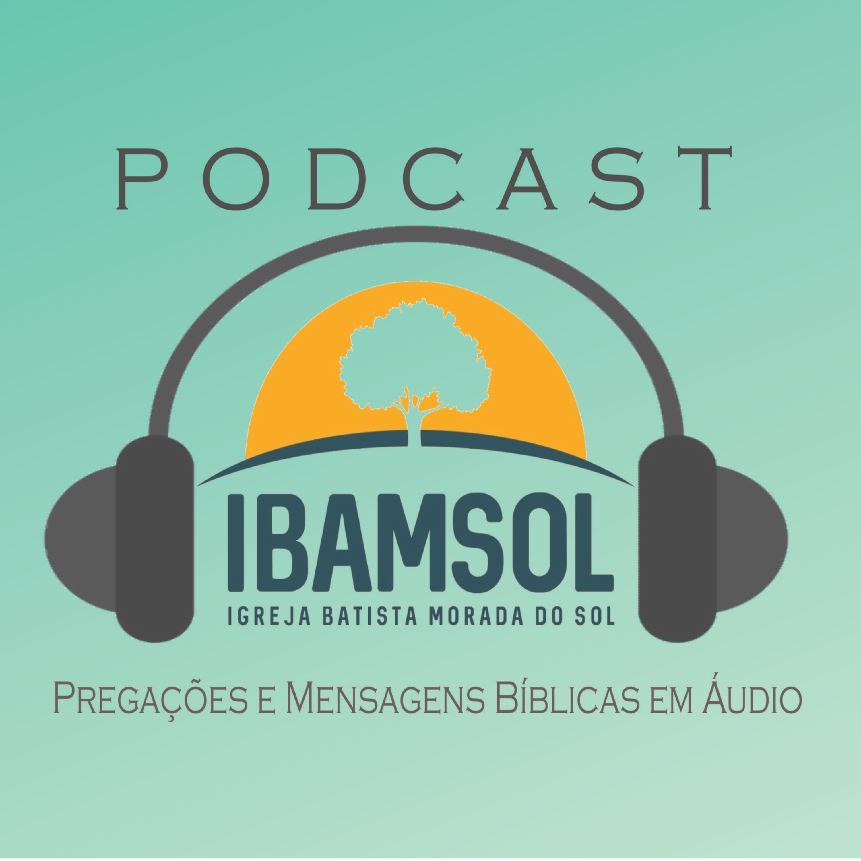 IBAMSOL