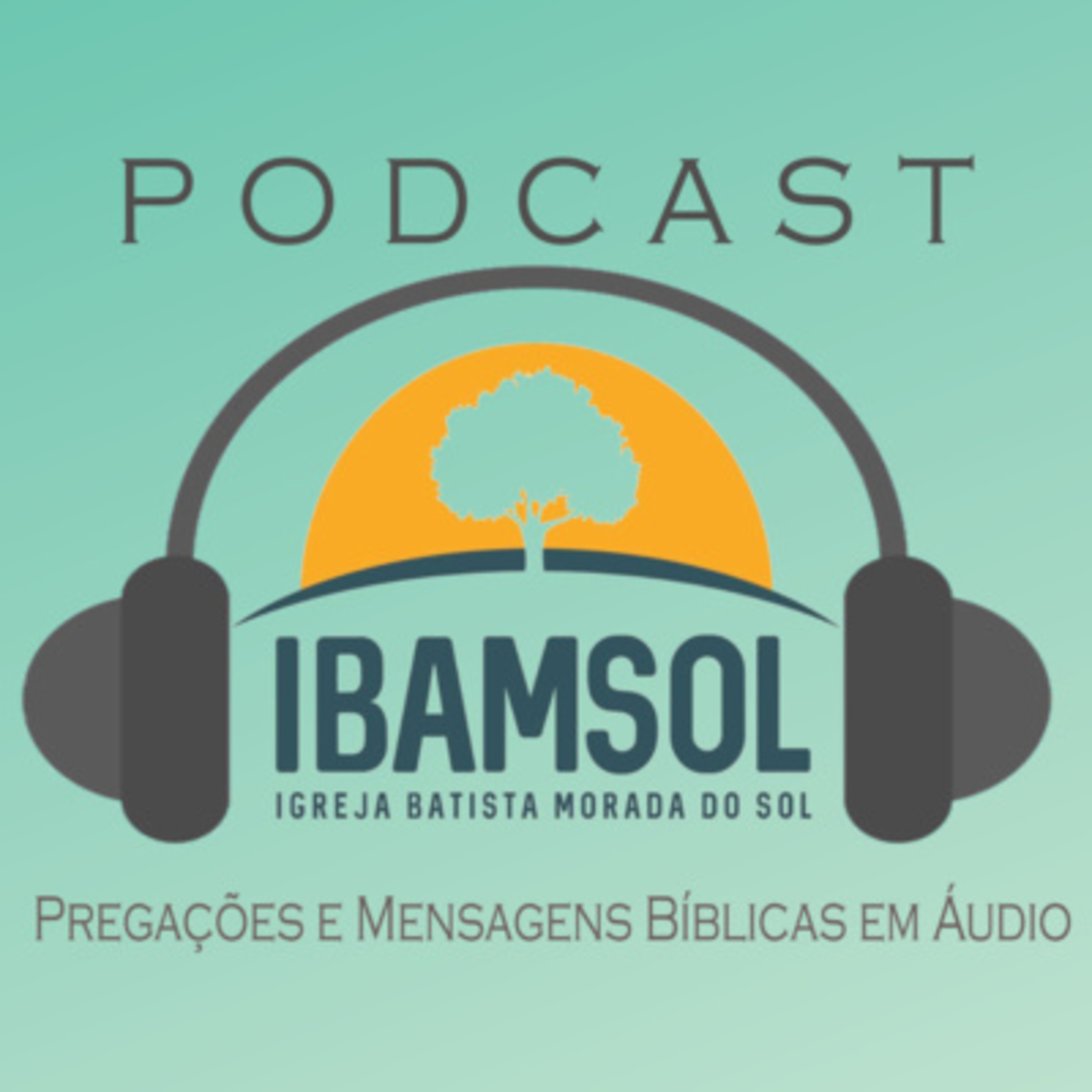 IBAMSOL