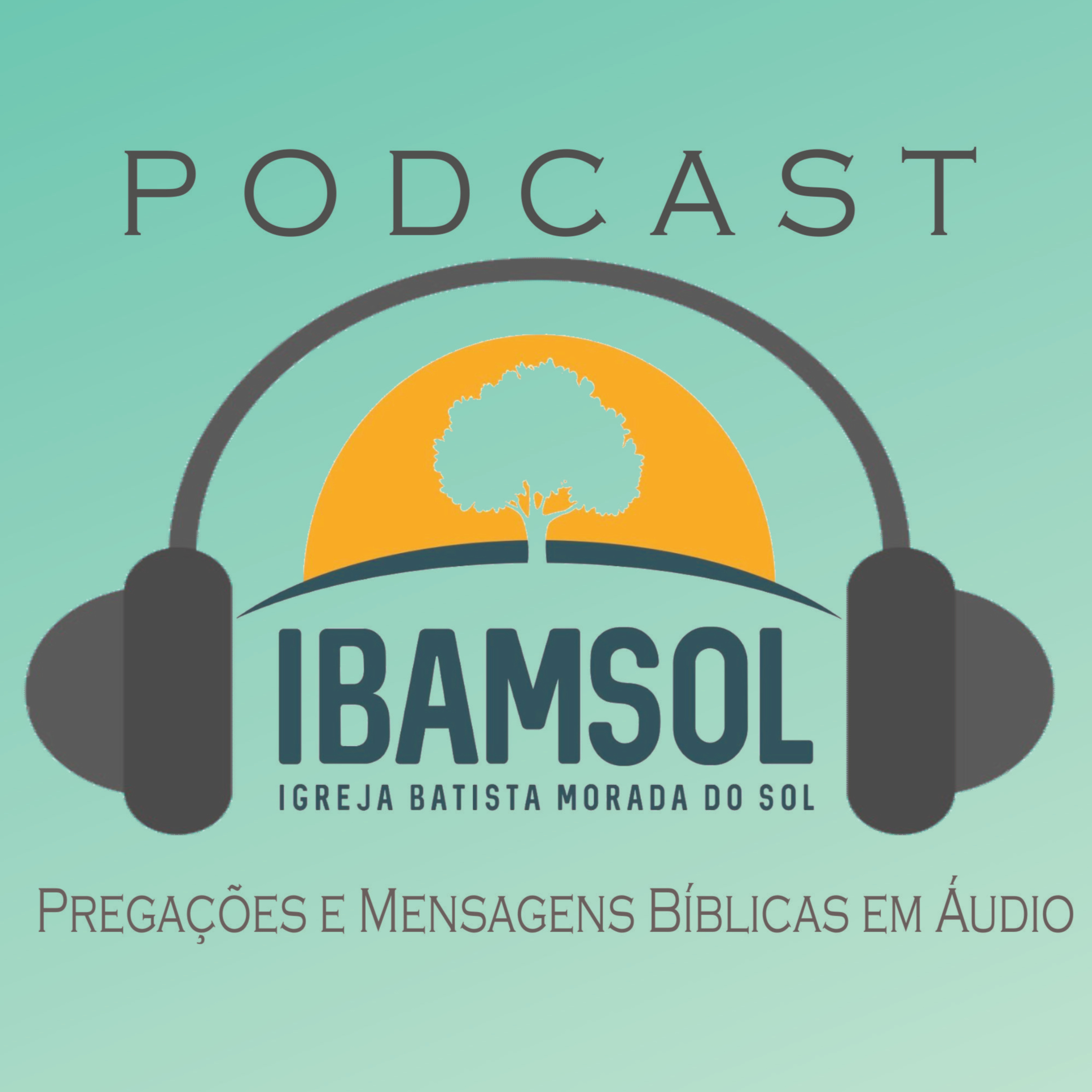 IBAMSOL