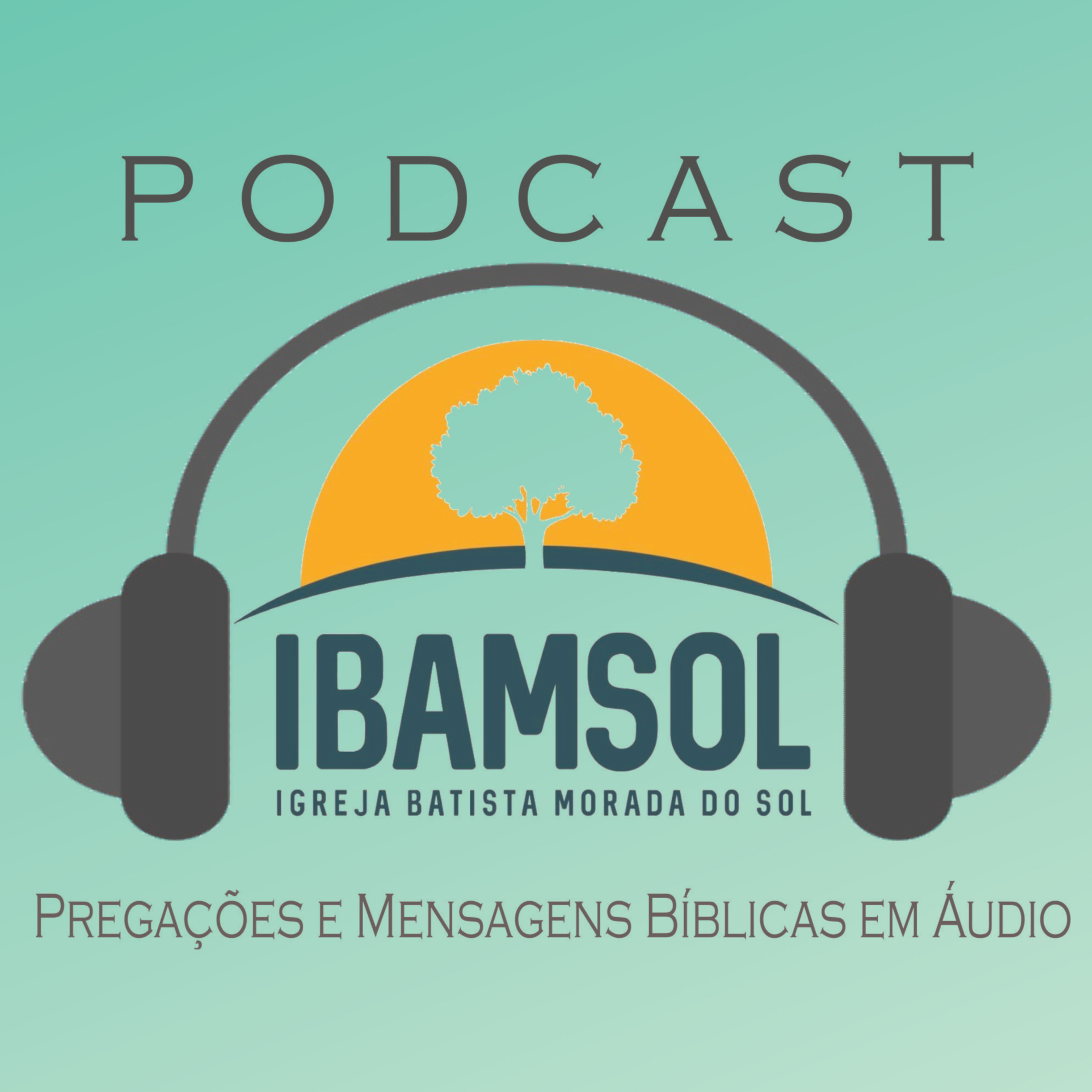 IBAMSOL