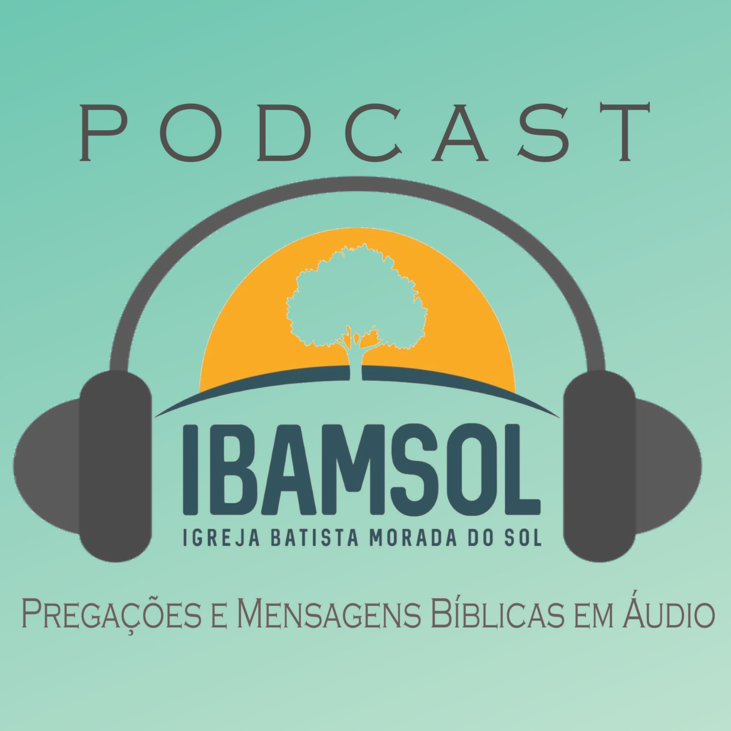 IBAMSOL