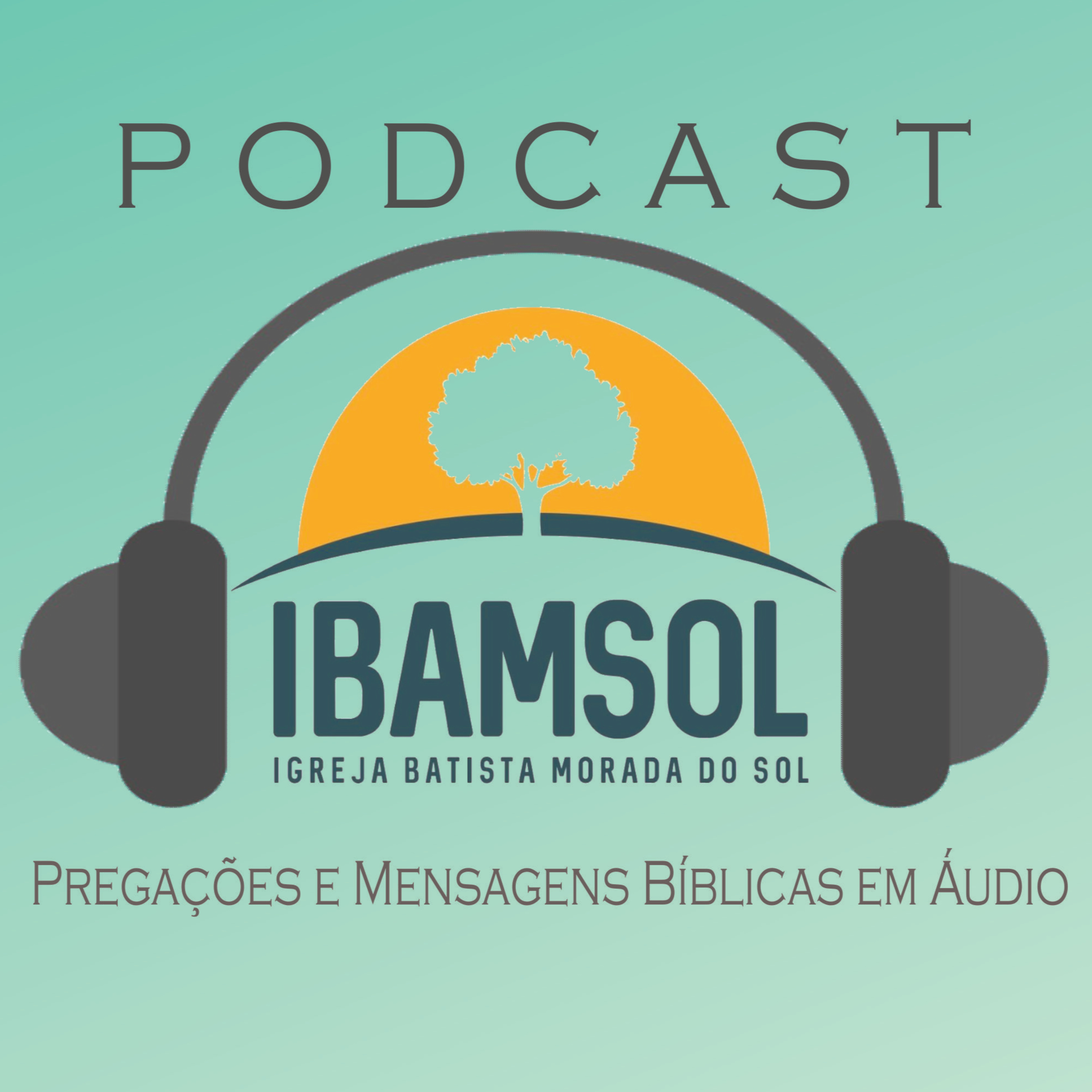 IBAMSOL