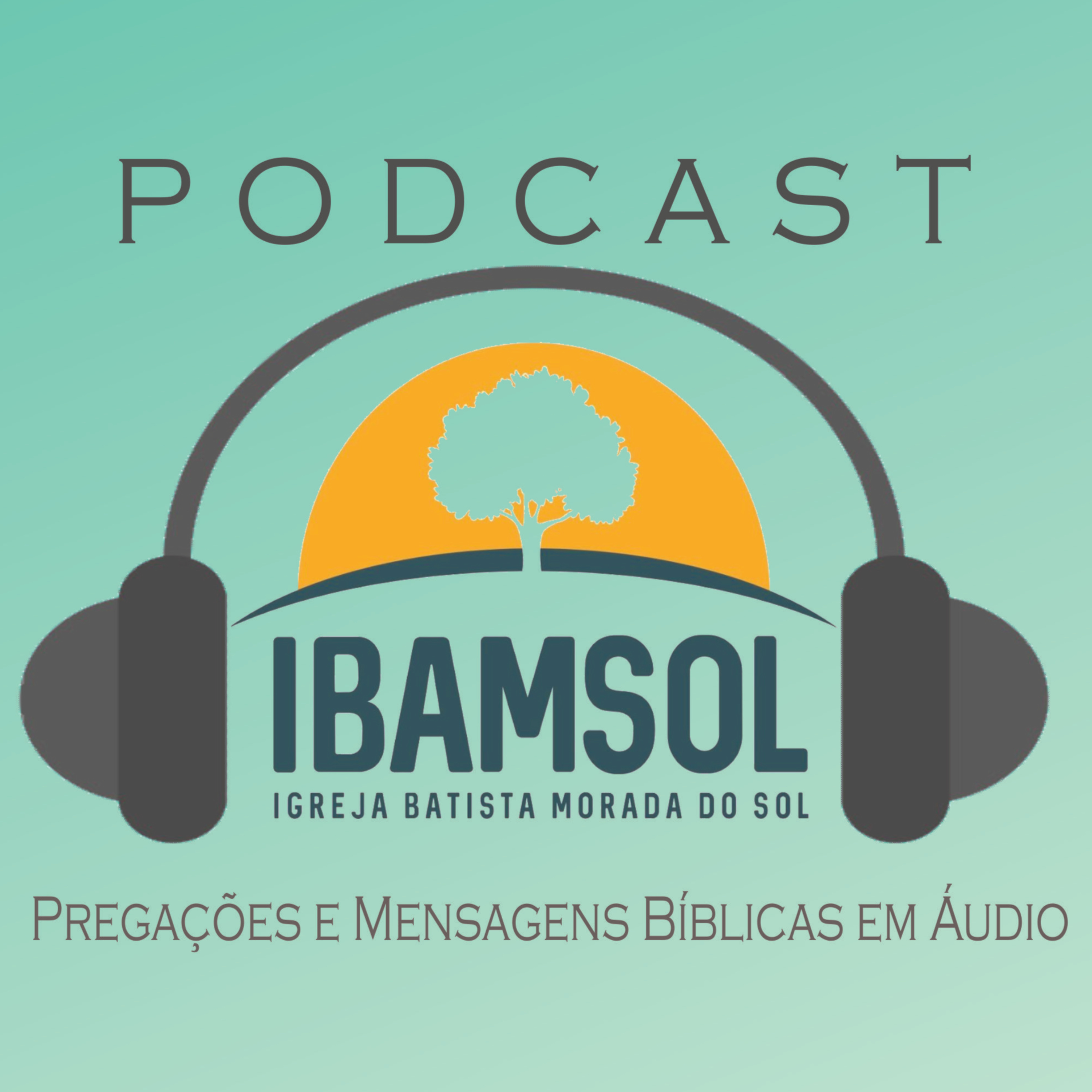 IBAMSOL