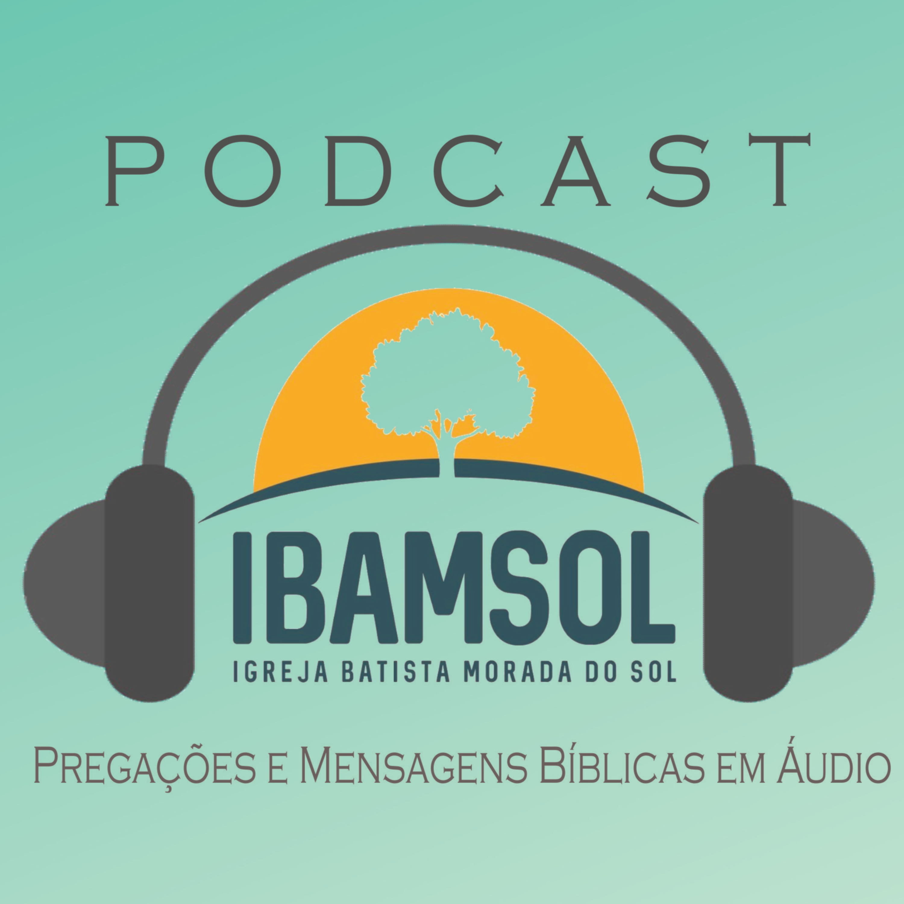 IBAMSOL