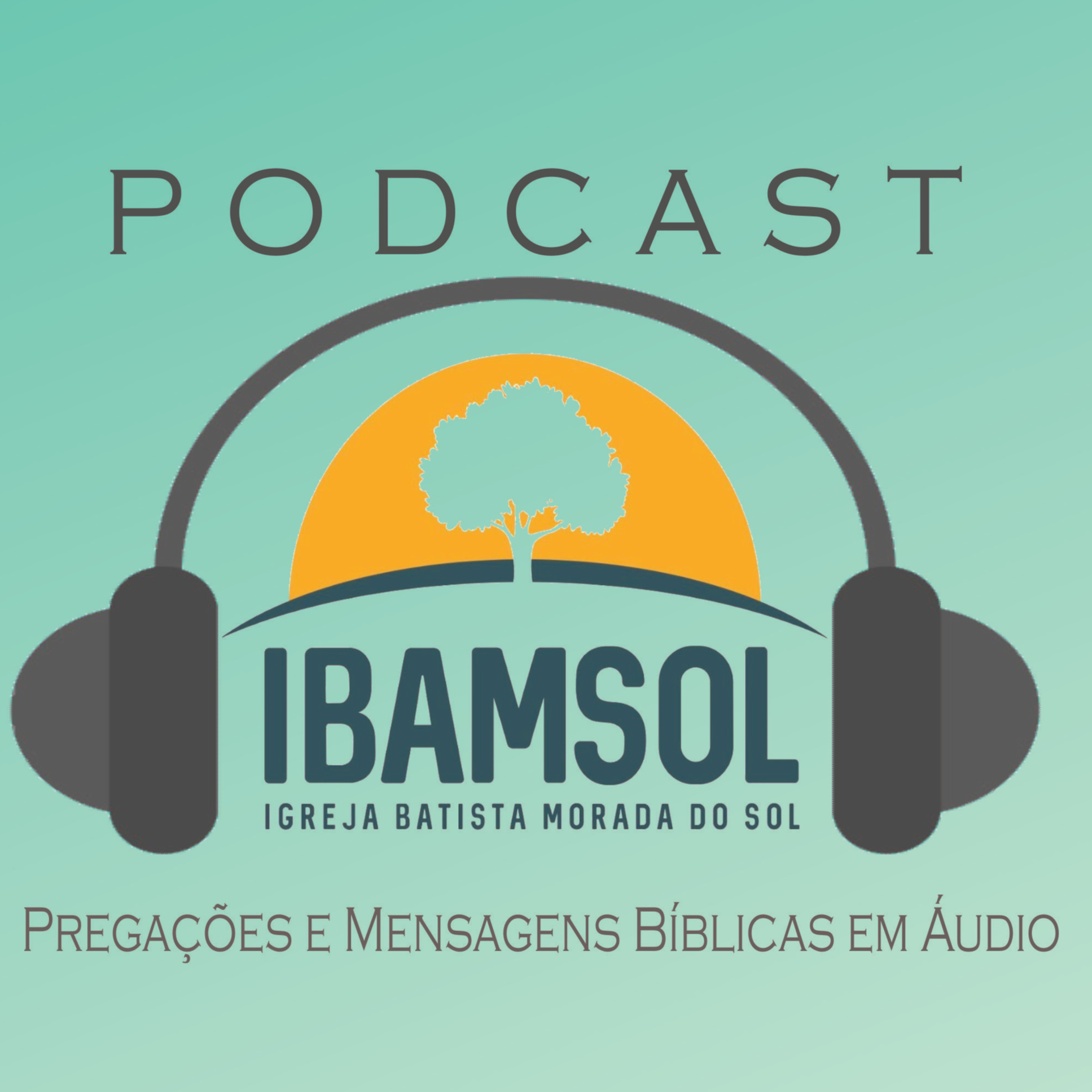IBAMSOL