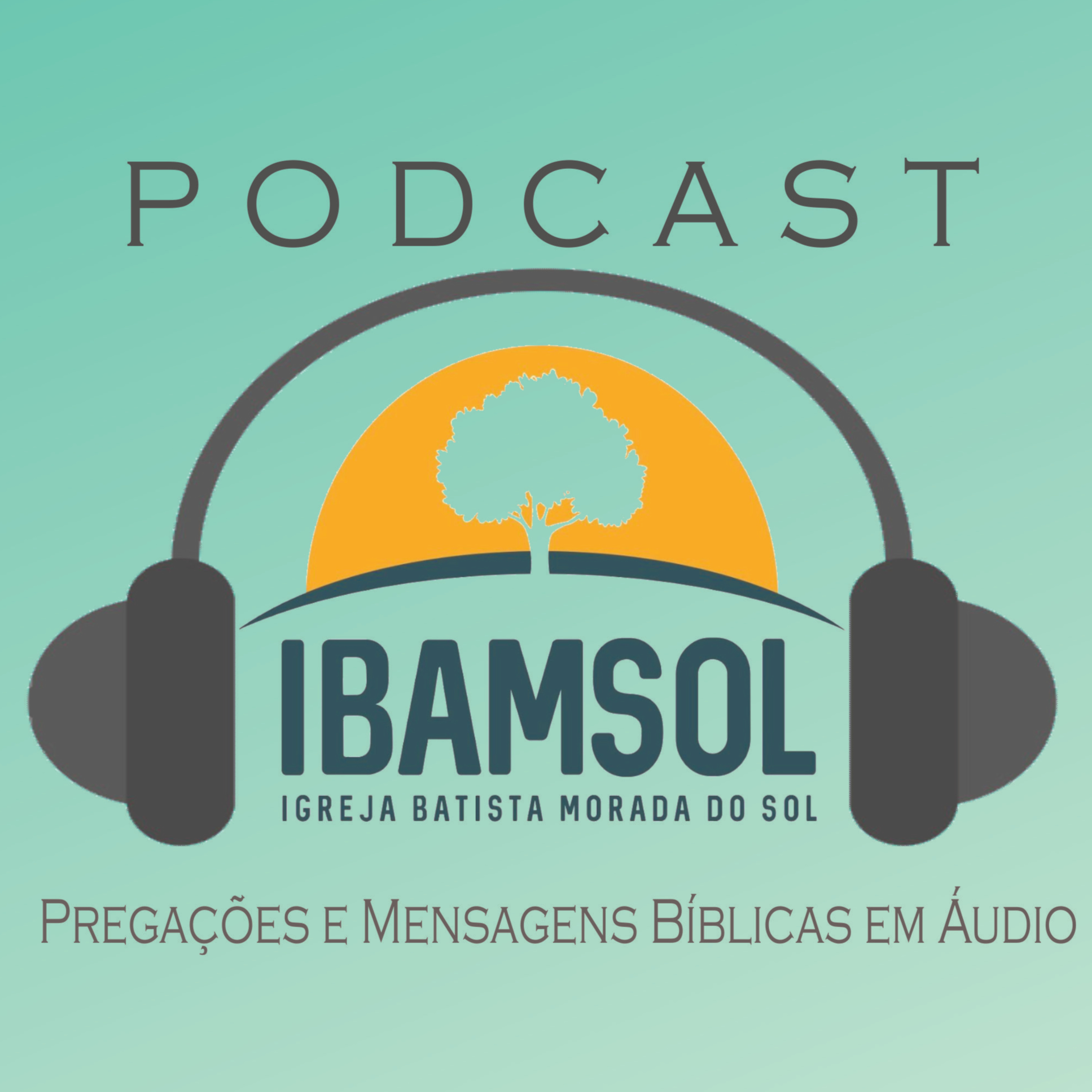 IBAMSOL