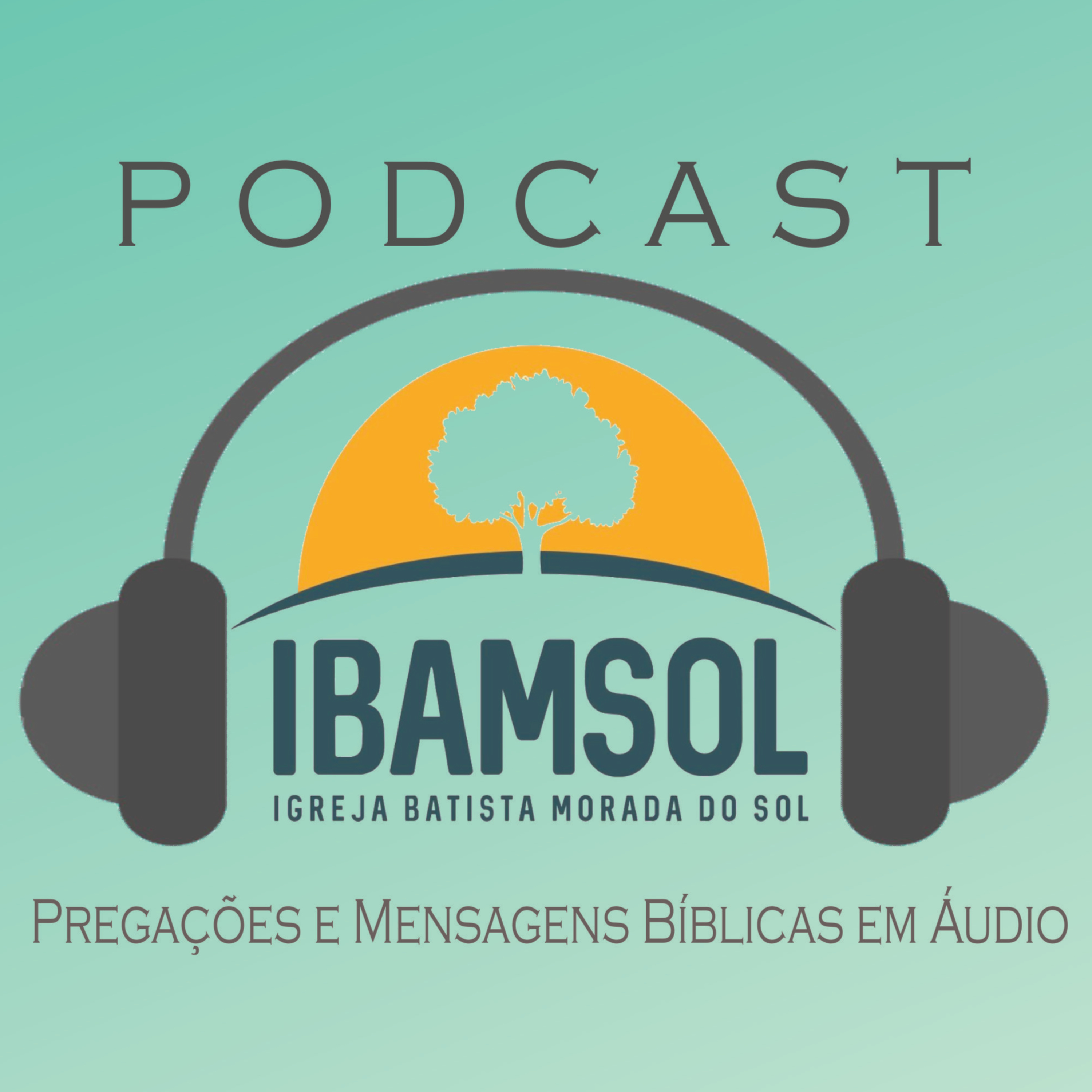 IBAMSOL