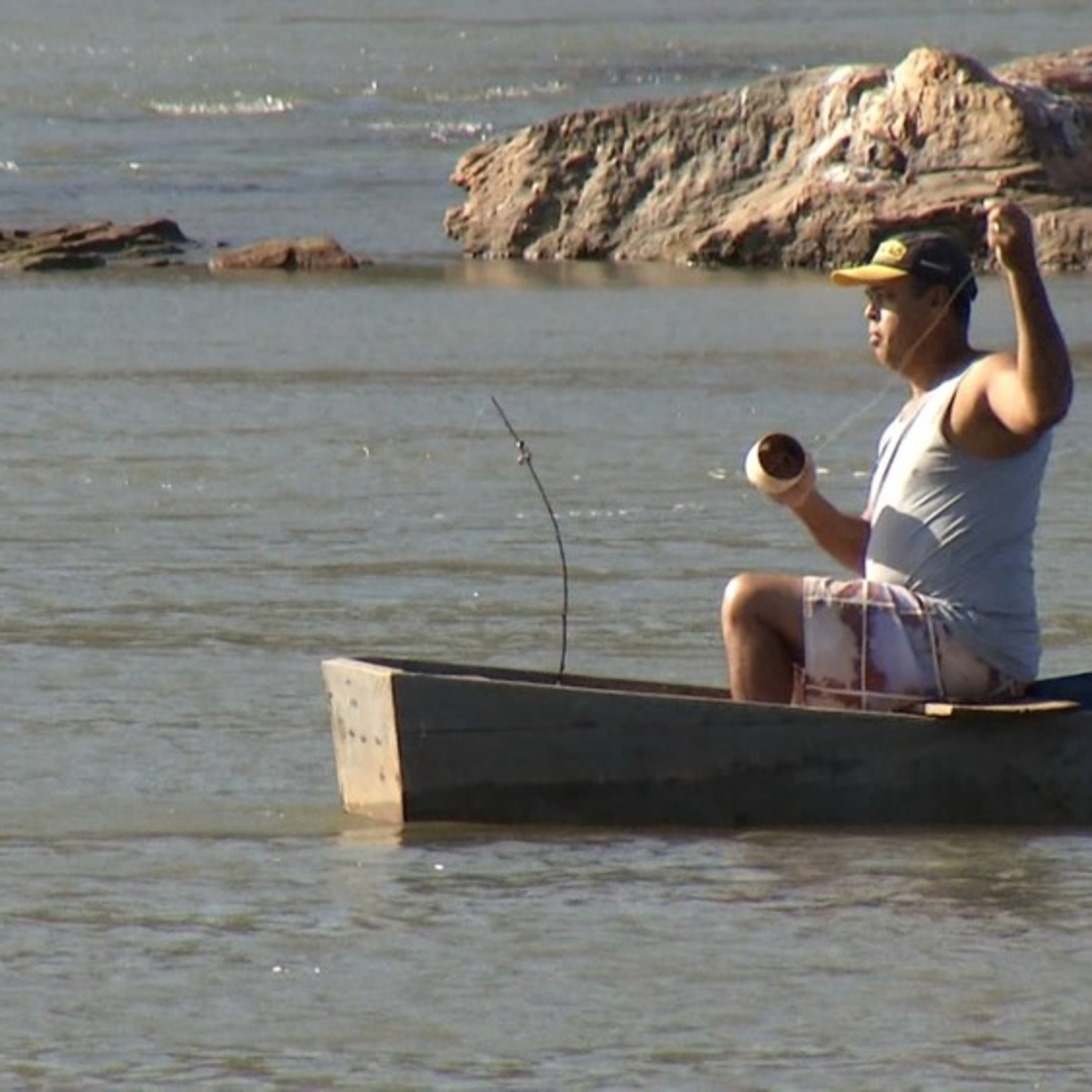 Estudo aponta contaminação metálica de peixes na foz do Rio Doce episode artwork