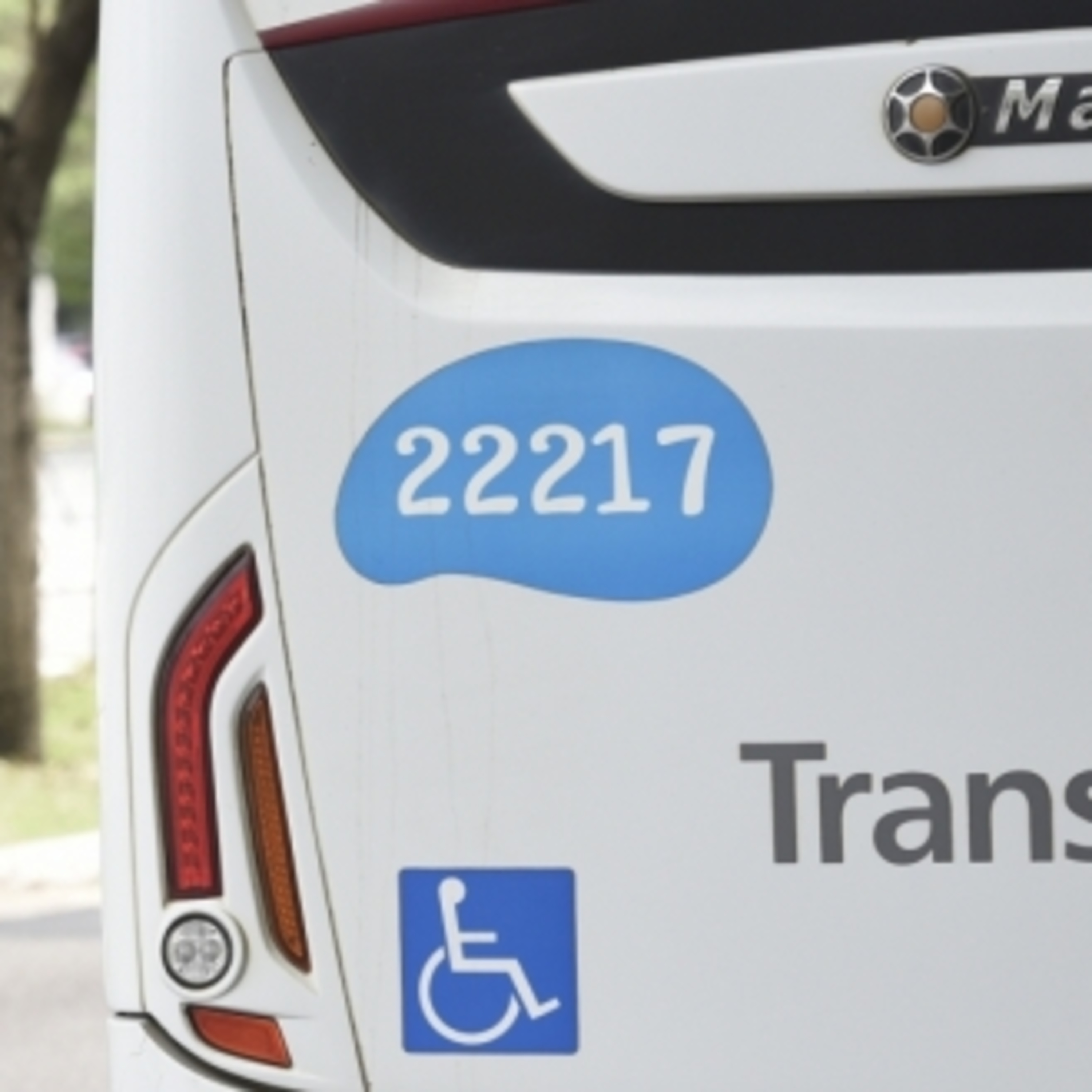 Quarentena: 160 mil viagens diárias suspensas com Transcol paralisado episode artwork