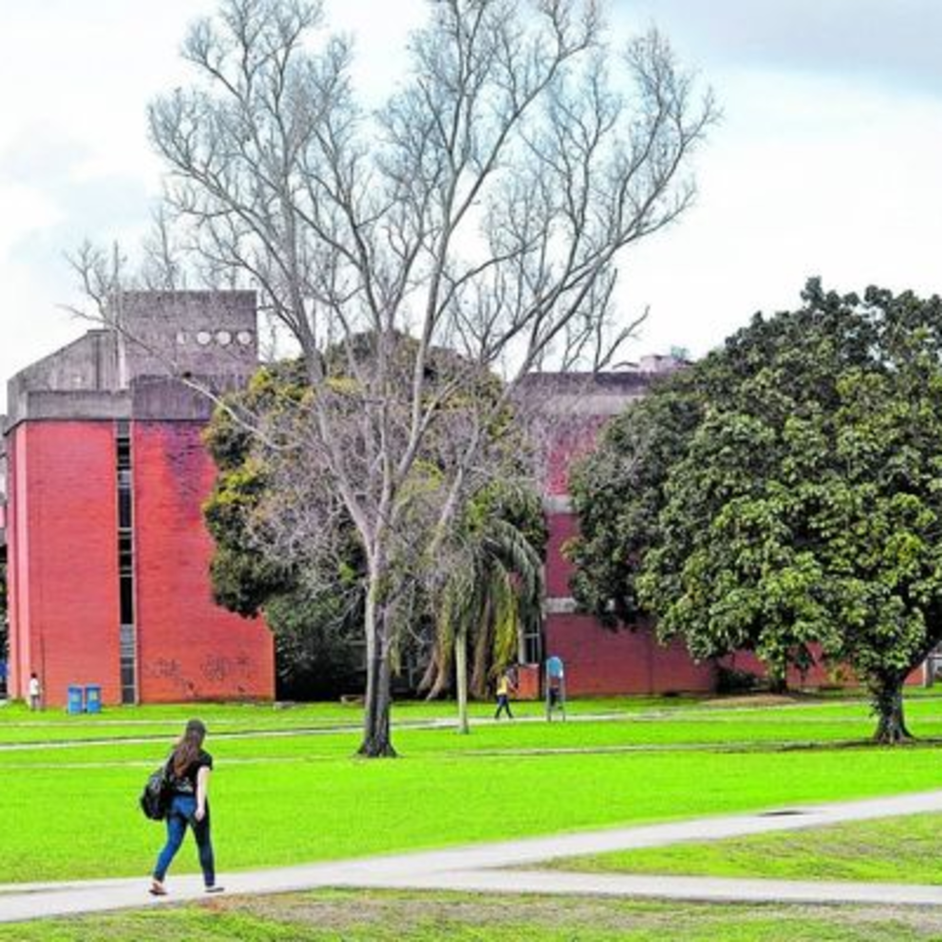 Comitê dá sinal verde para planejar volta gradual das aulas presenciais da Ufes episode artwork