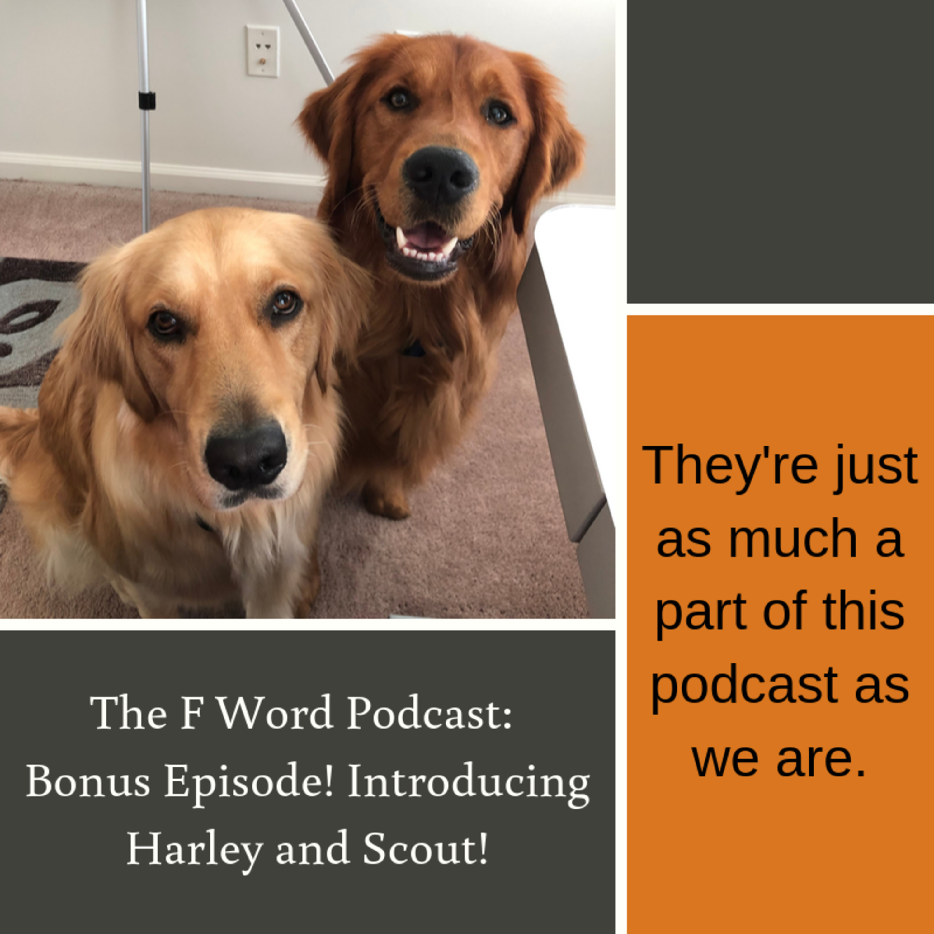 The F Word Podcast