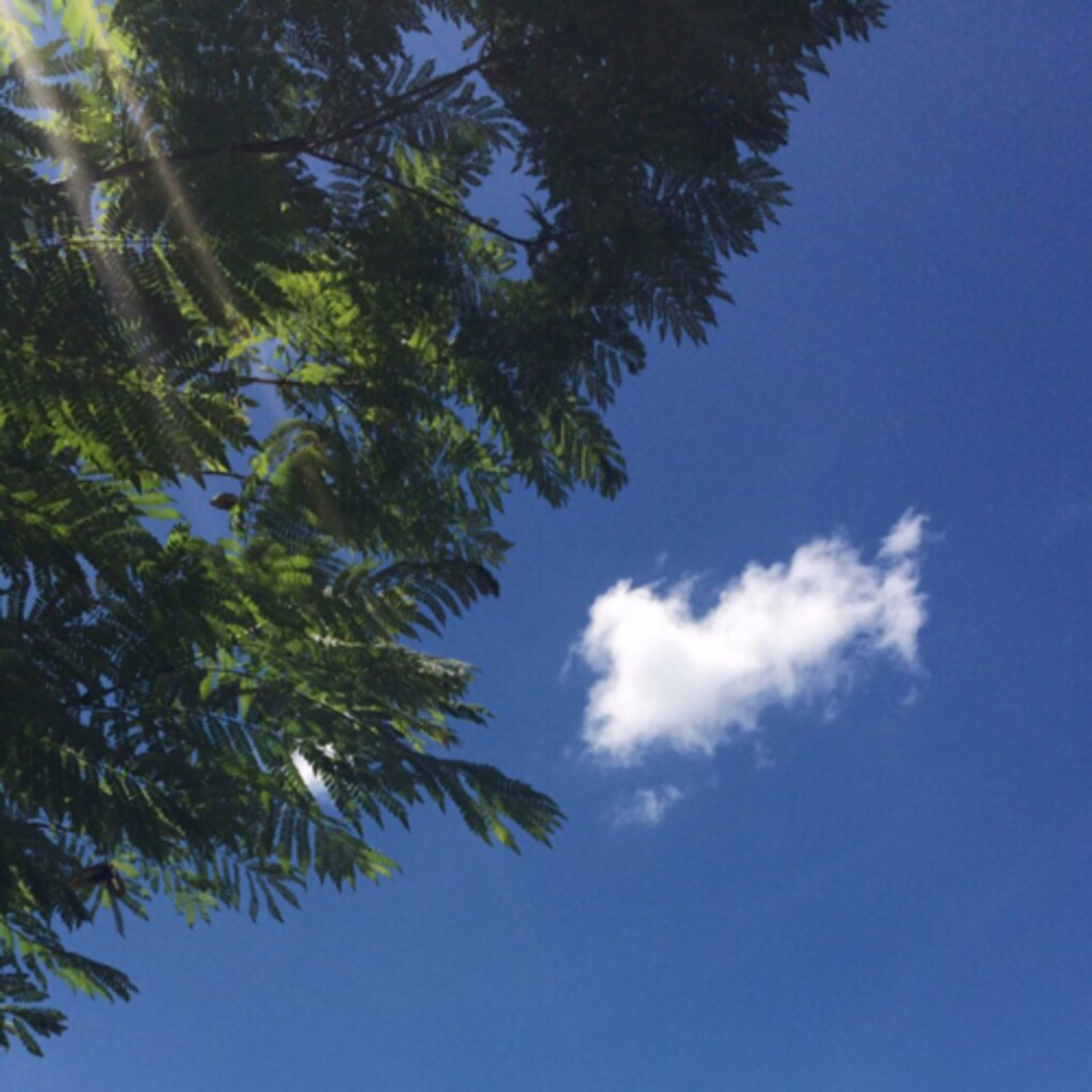 Langit Biru