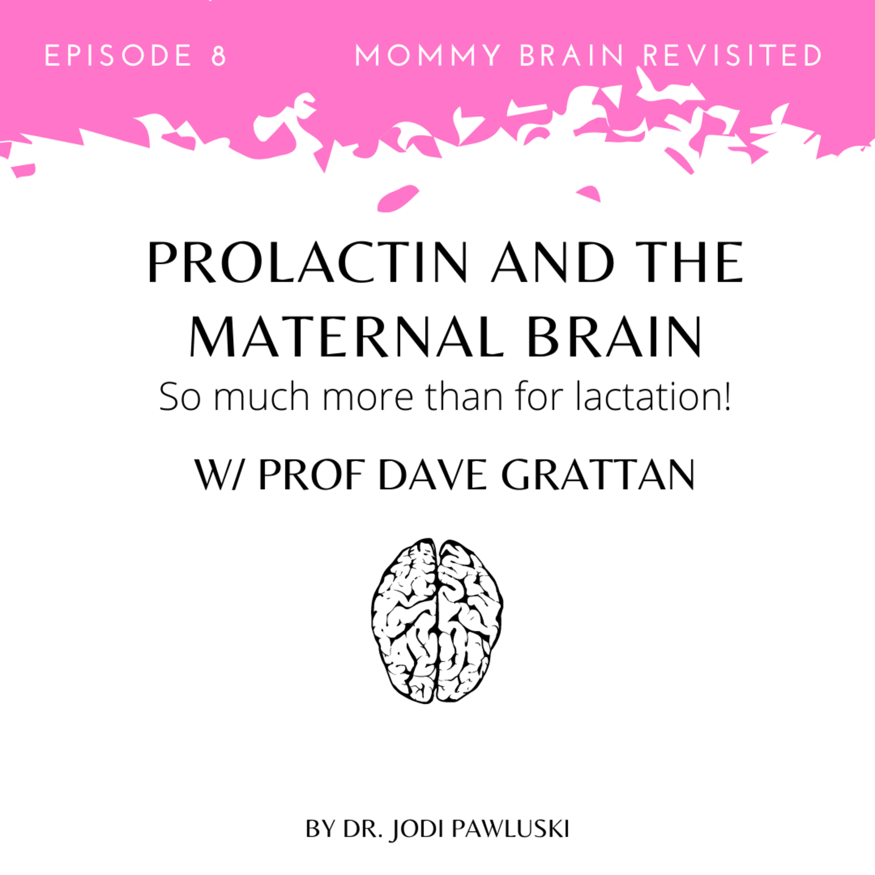 8. Prolactin and the Maternal Brain: So much more than for lactation!