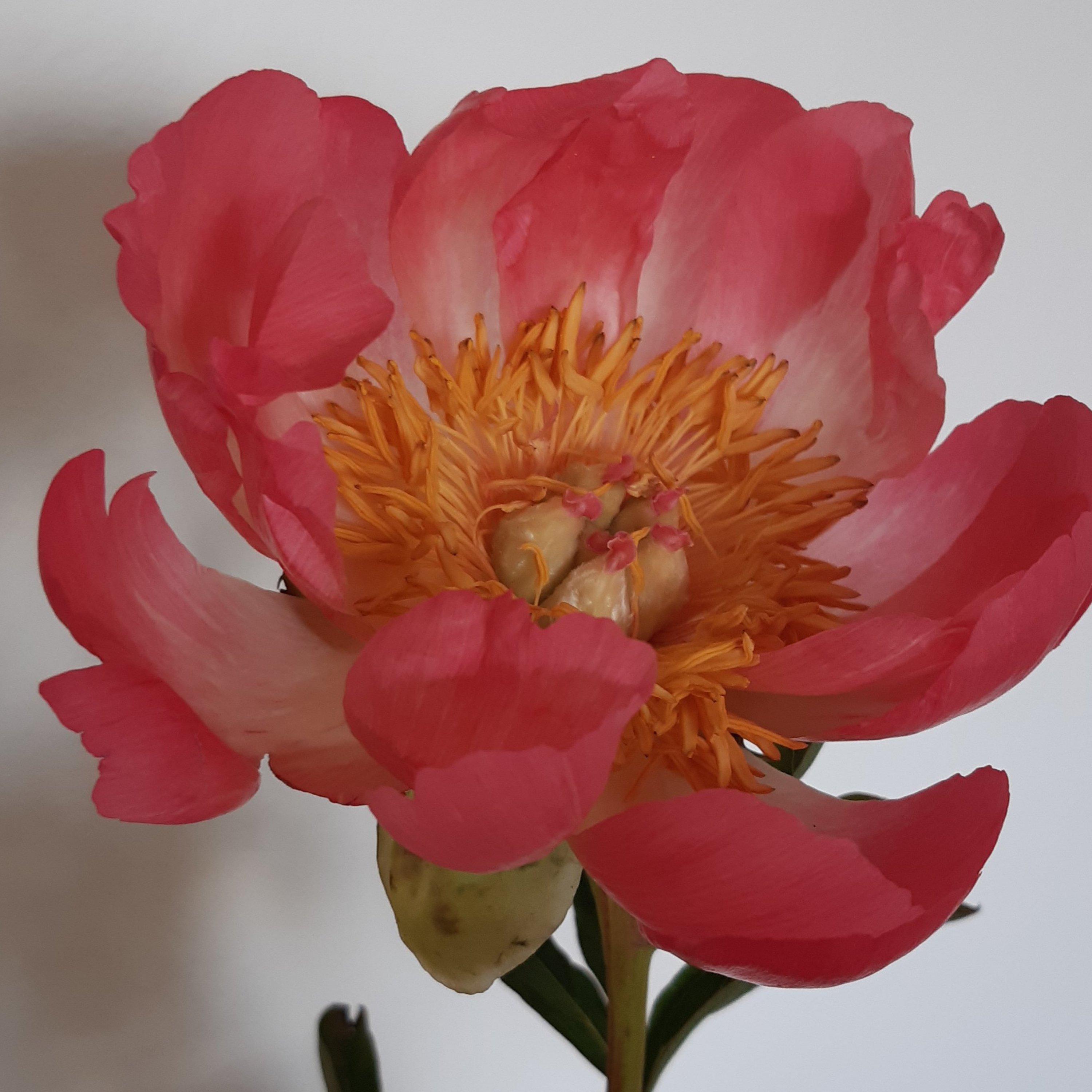 Glaube Hoffnung Liebe