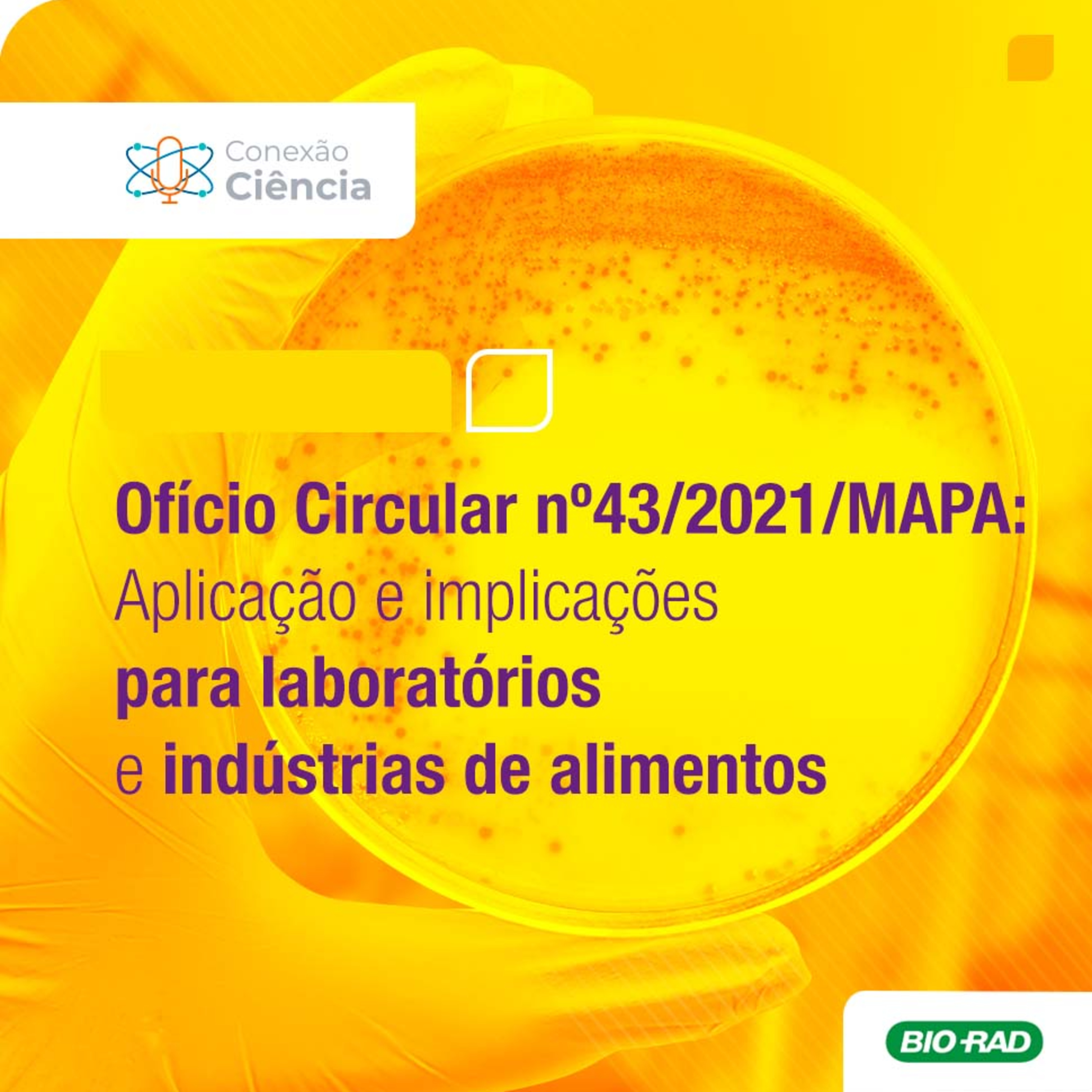 Conexão Ciência