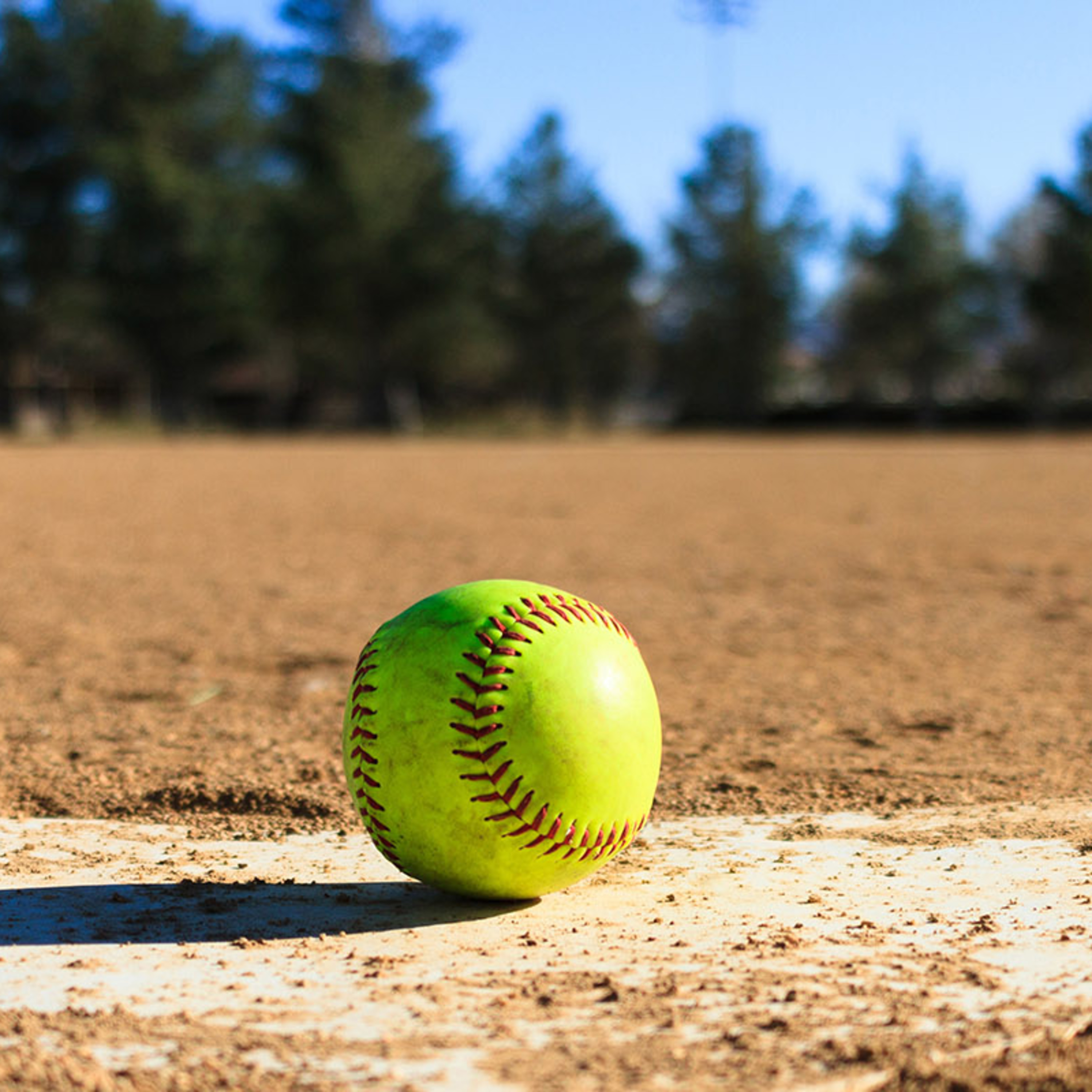 Softball episode artwork