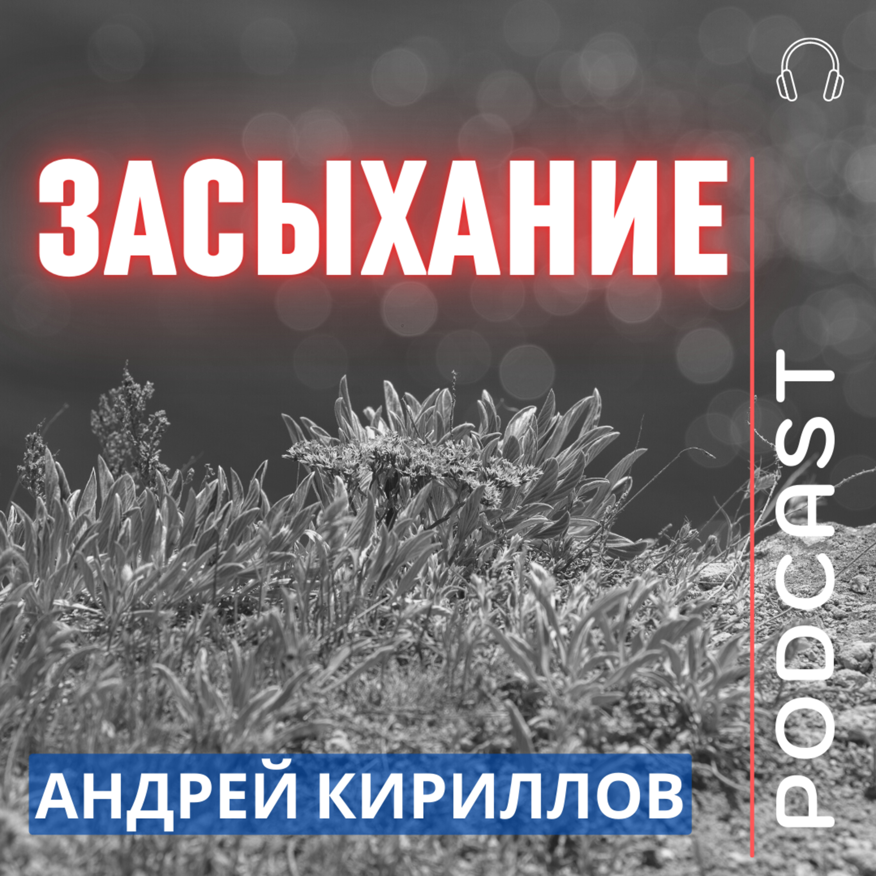 ЗАСЫХАНИЕ