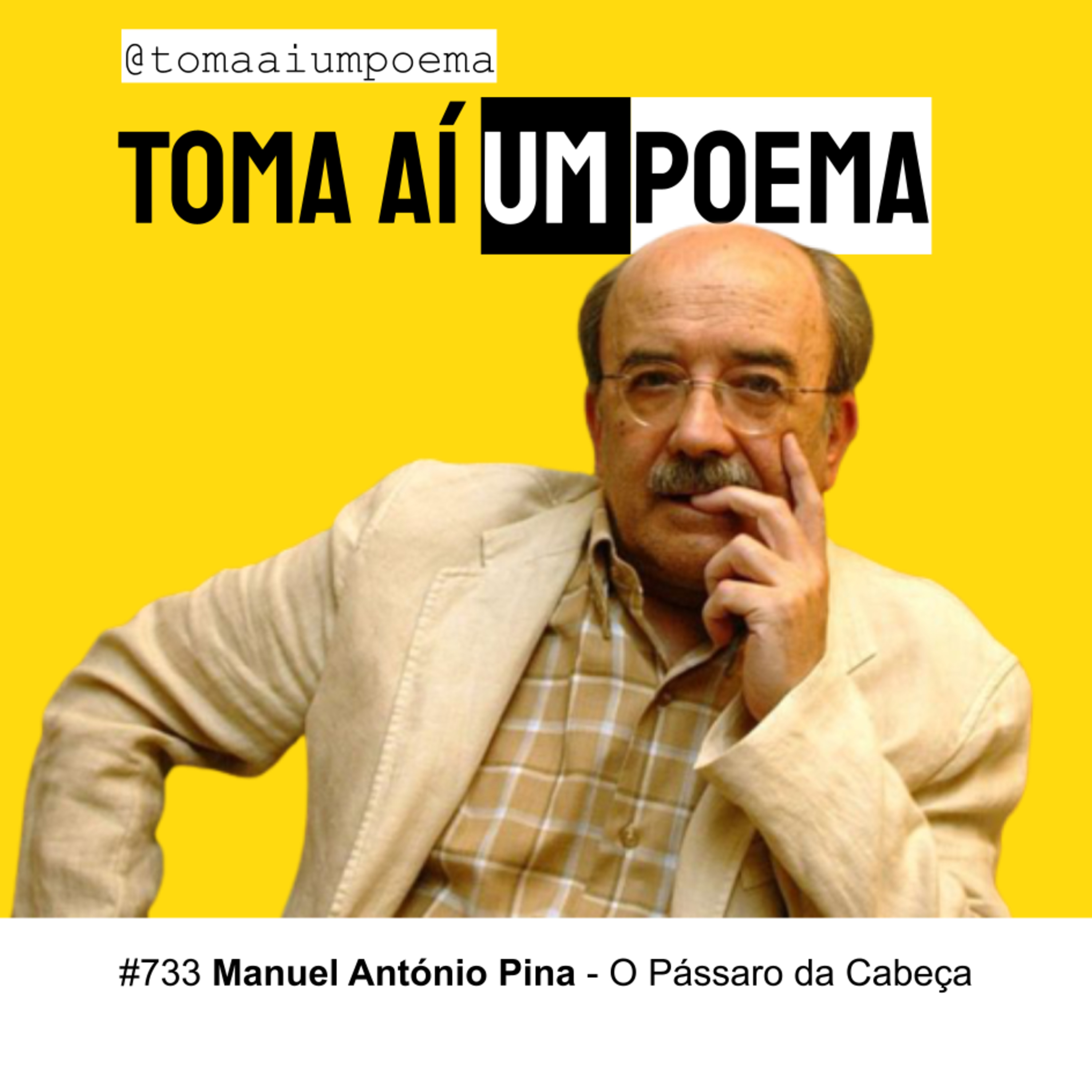 733 | Manuel António Pina - O Pássaro da Cabeça | Poesia Portuguesa episode artwork