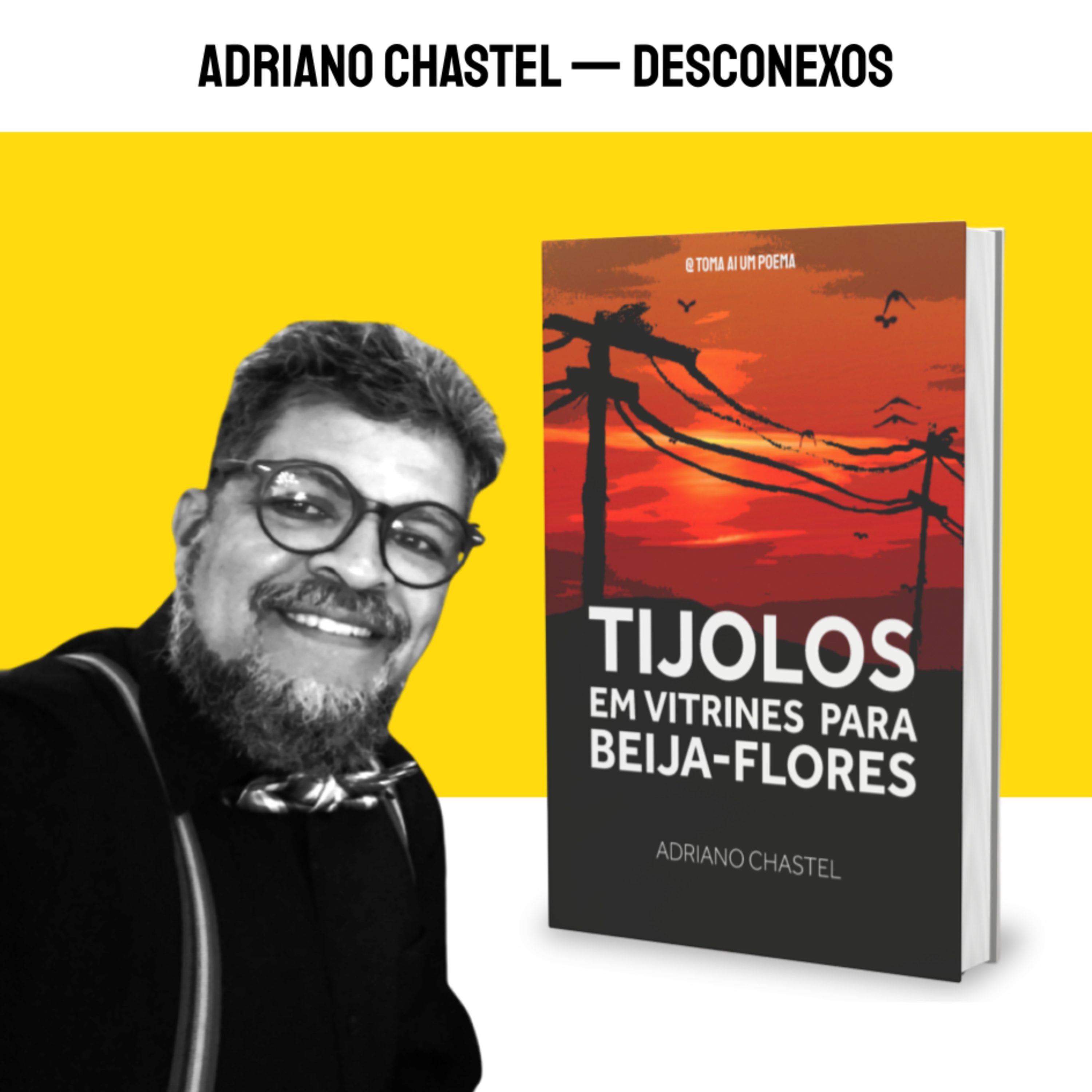 765 | Adriano Chastel — Desconexos | Tijolos em Vitrines Para Beija-flores  episode artwork