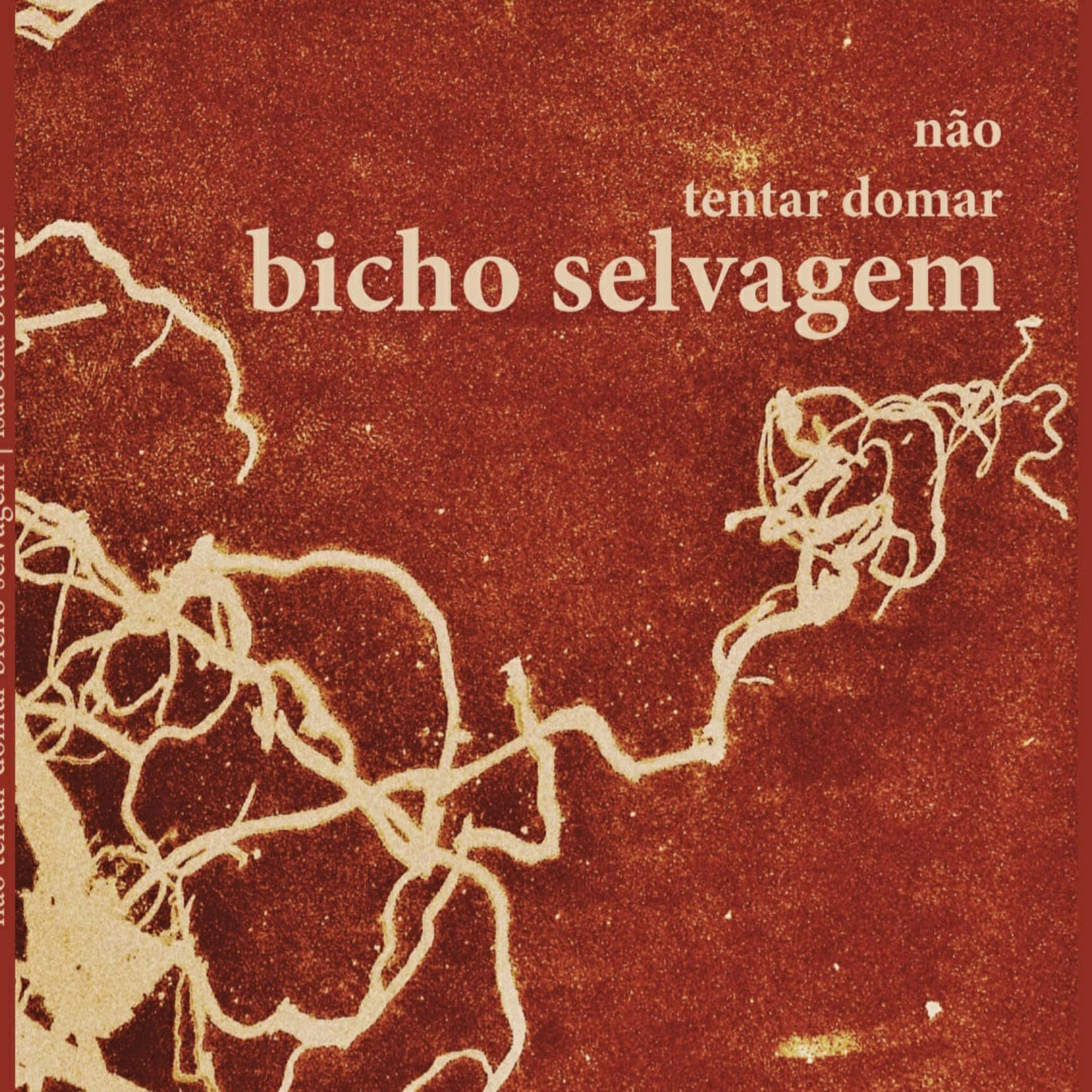 821 | Isabella Bettoni — Não tentar domar bicho selvagem | Poesia Contemporânea episode artwork