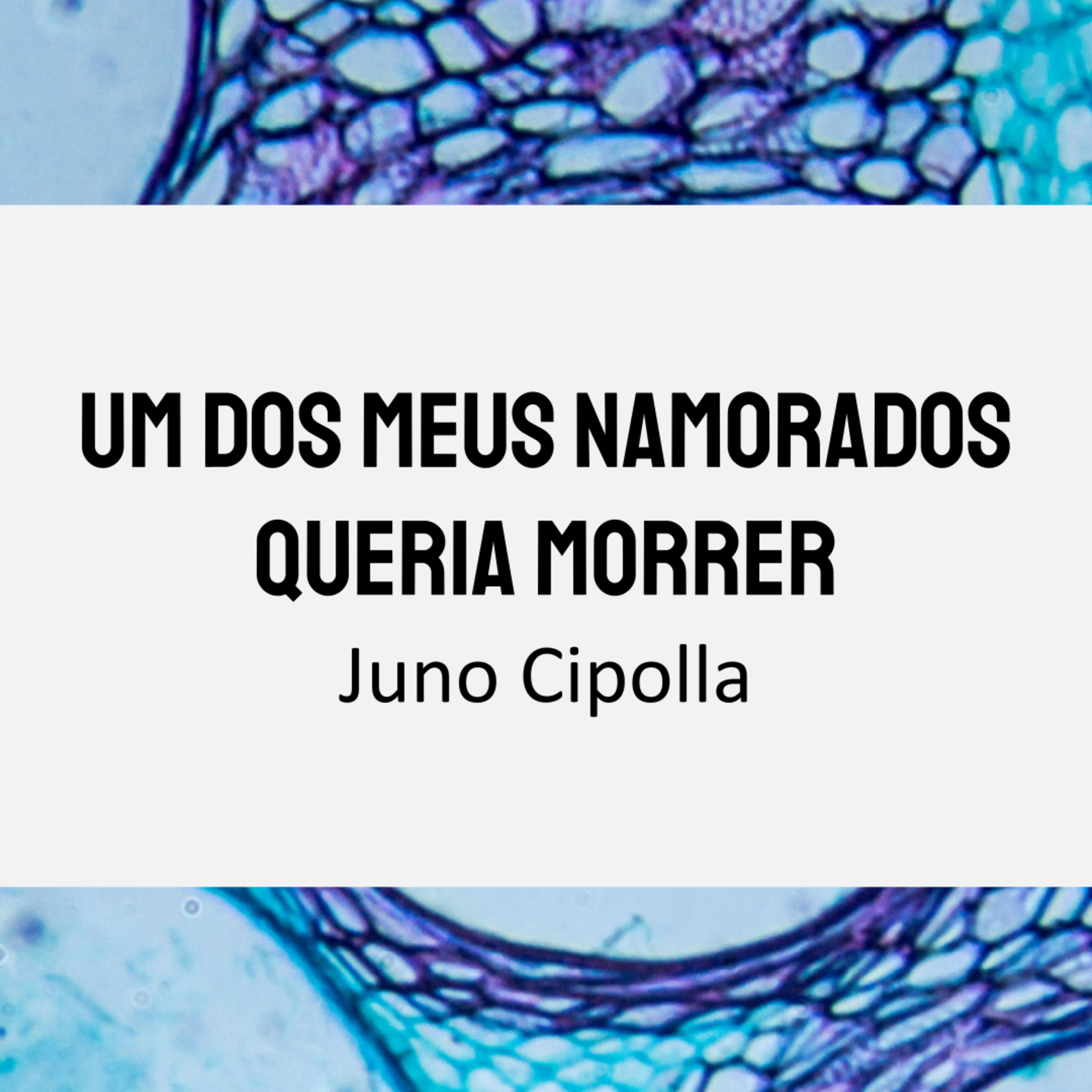 876 | Juno Cipolla — um dos meus namorados queria morrer | Livro tire as bolhas da seringa antes de aplicar o líquido (Toma Aí Um Poema, 2022) episode artwork