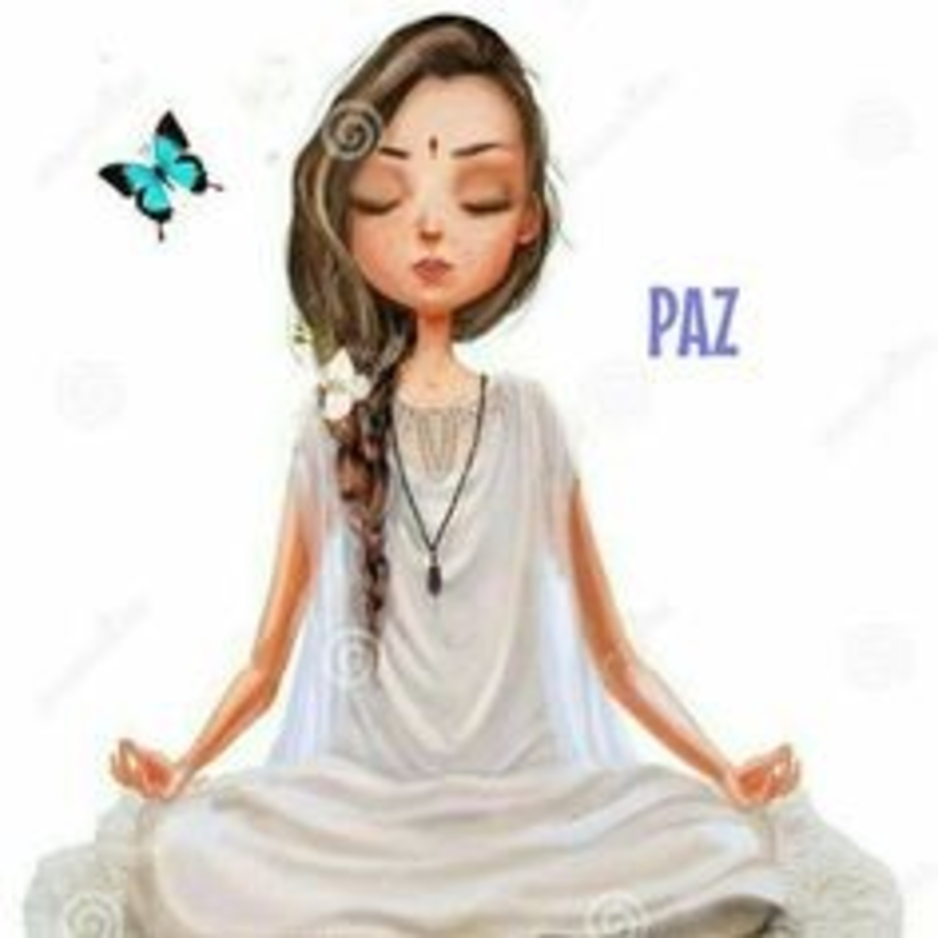 Meditaciones Para El Alma