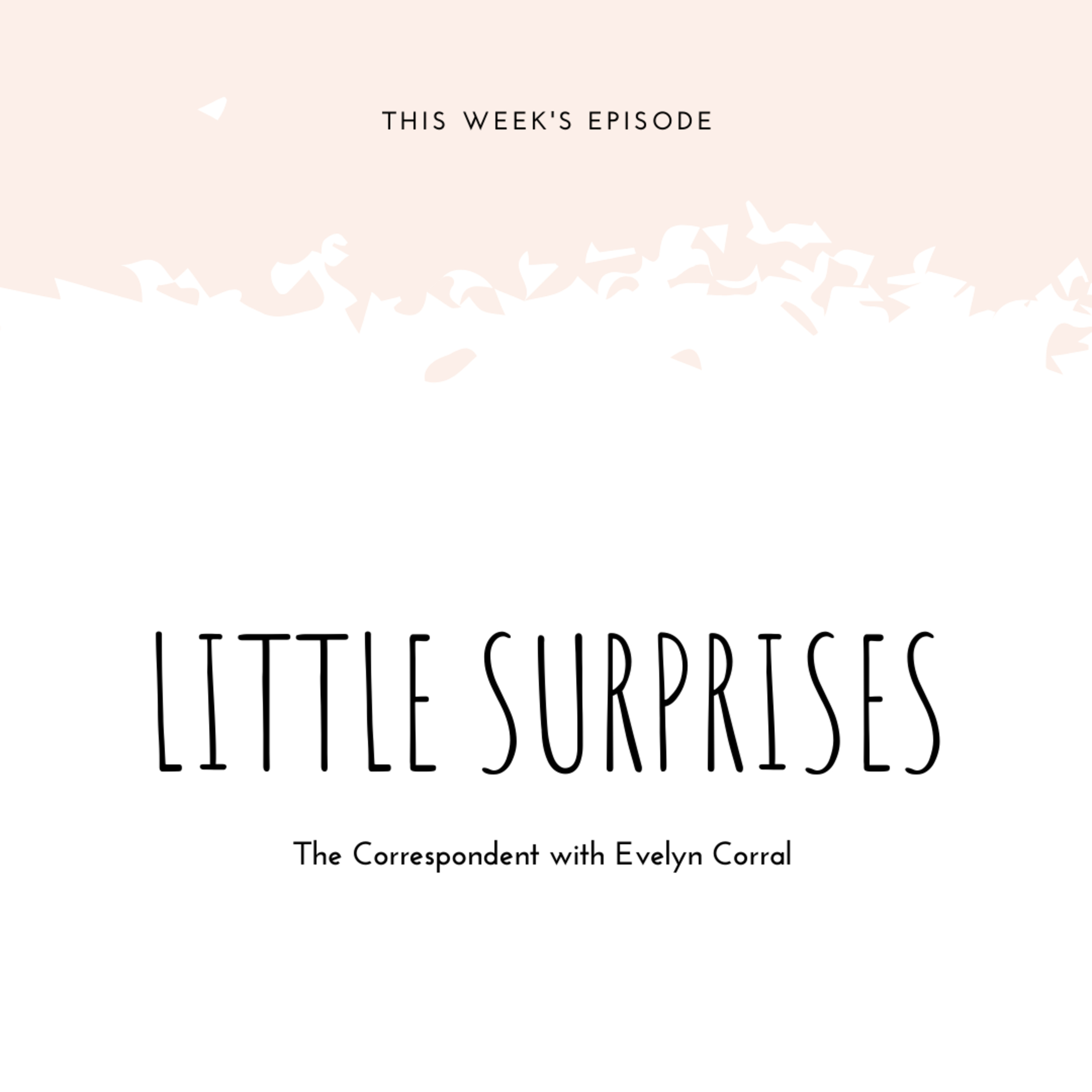 Little Surprises Little Surprises