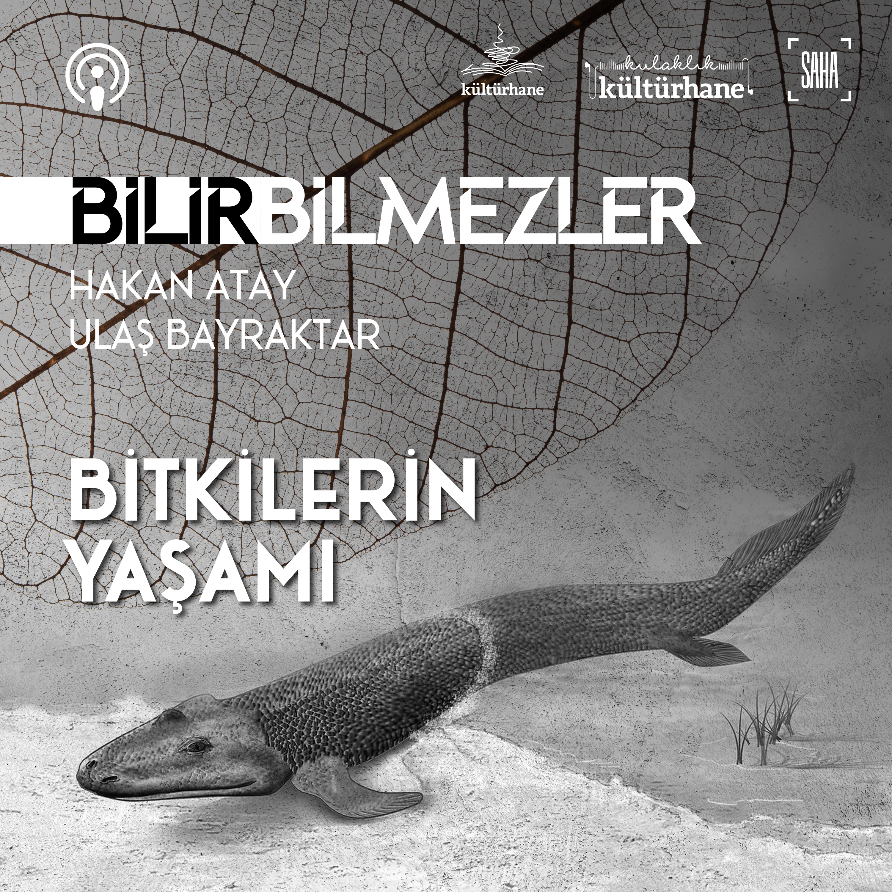 Kulaklık Kültürhane