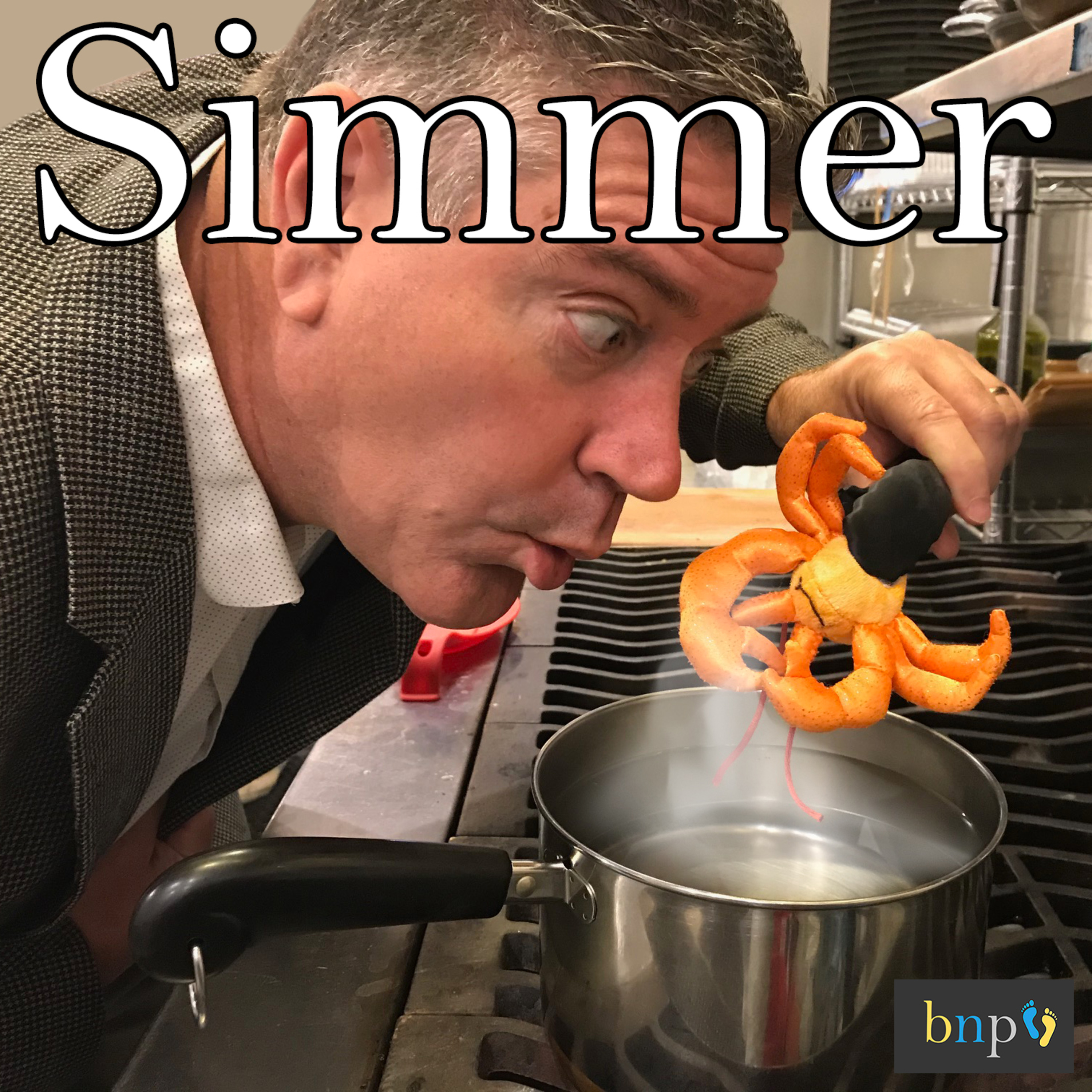 BNP #48: Simmer episode artwork