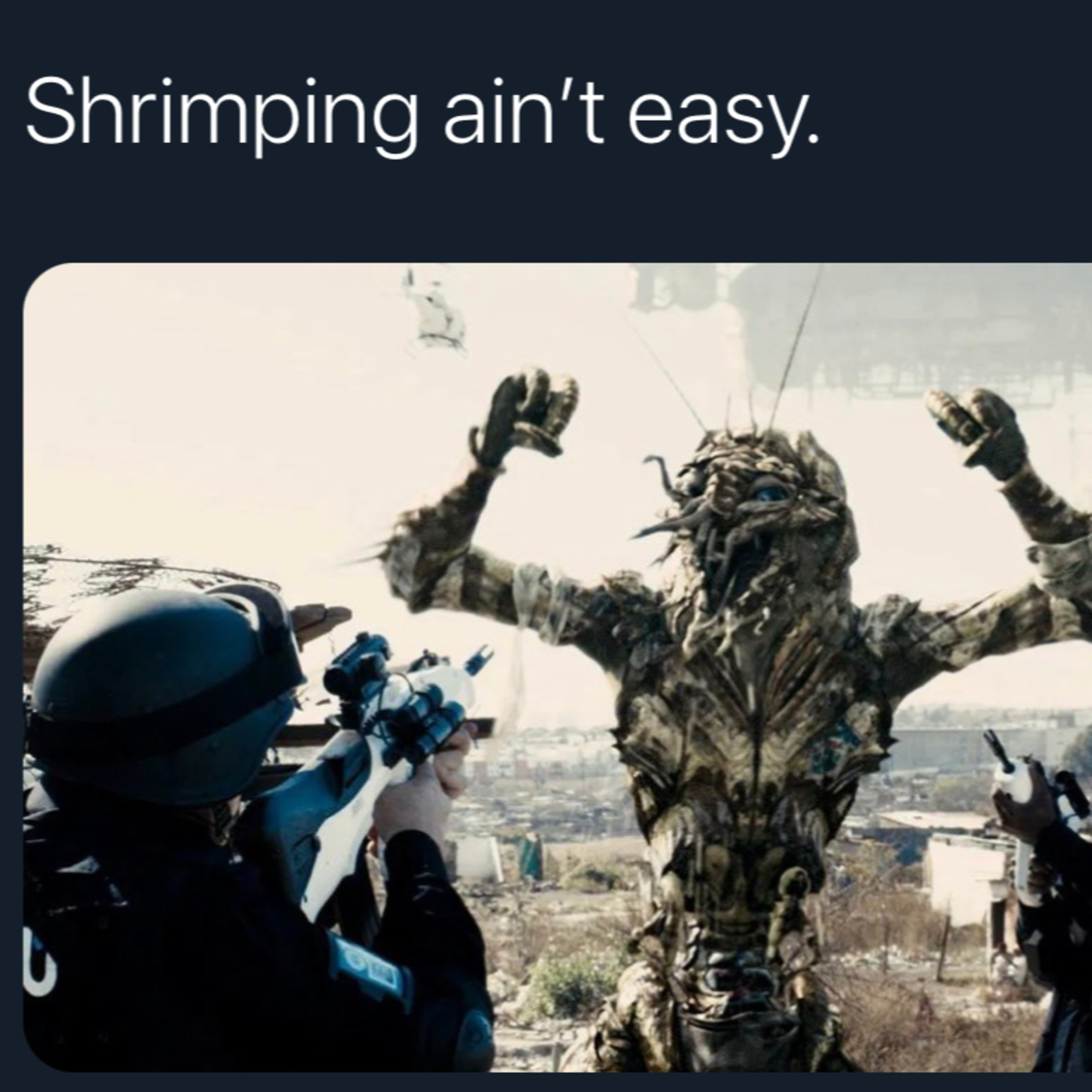 Is This A Sandwich?