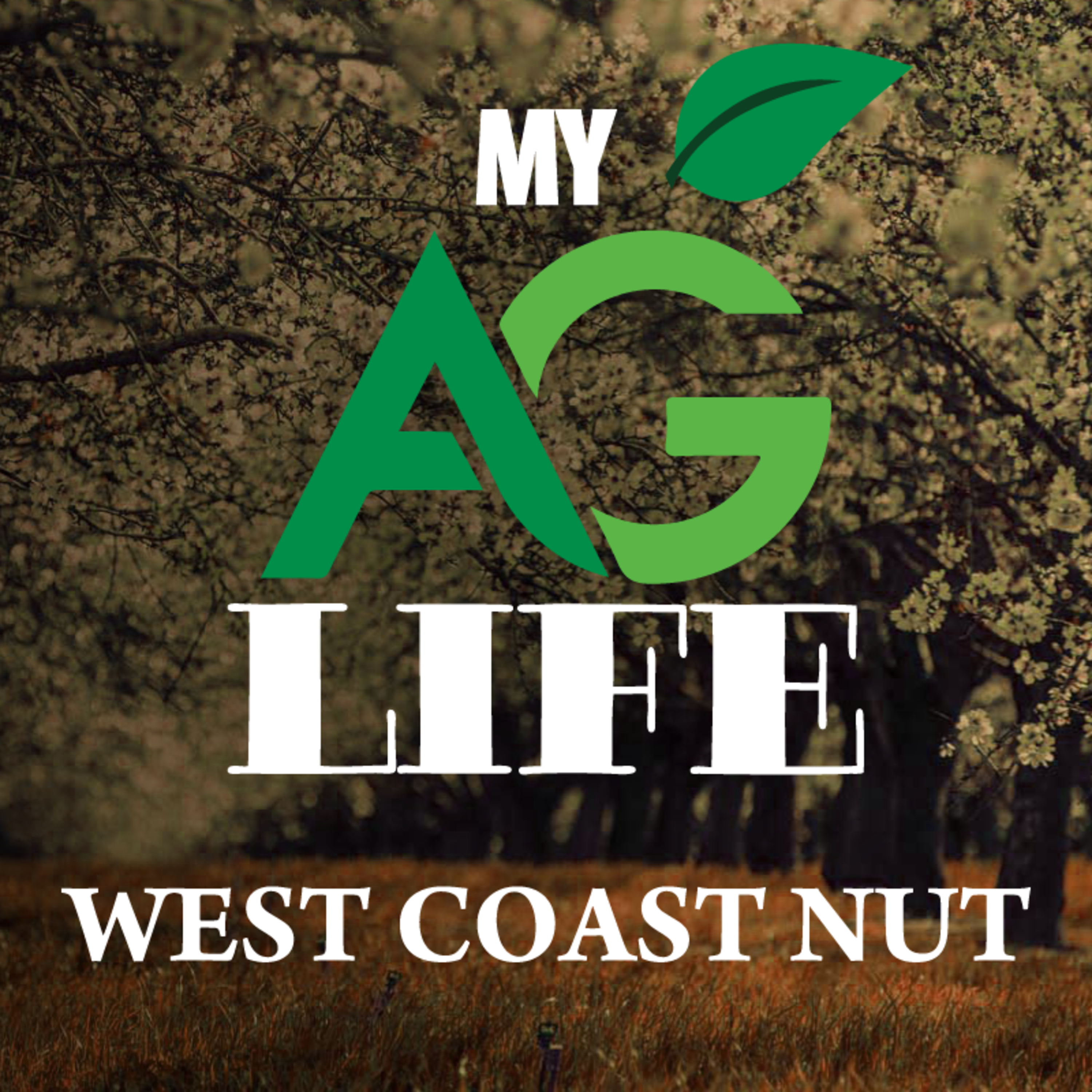 Growing with Mating Disruption: The New Standard for Navel Orangeworm IPM / West Coast Nut January 2021
