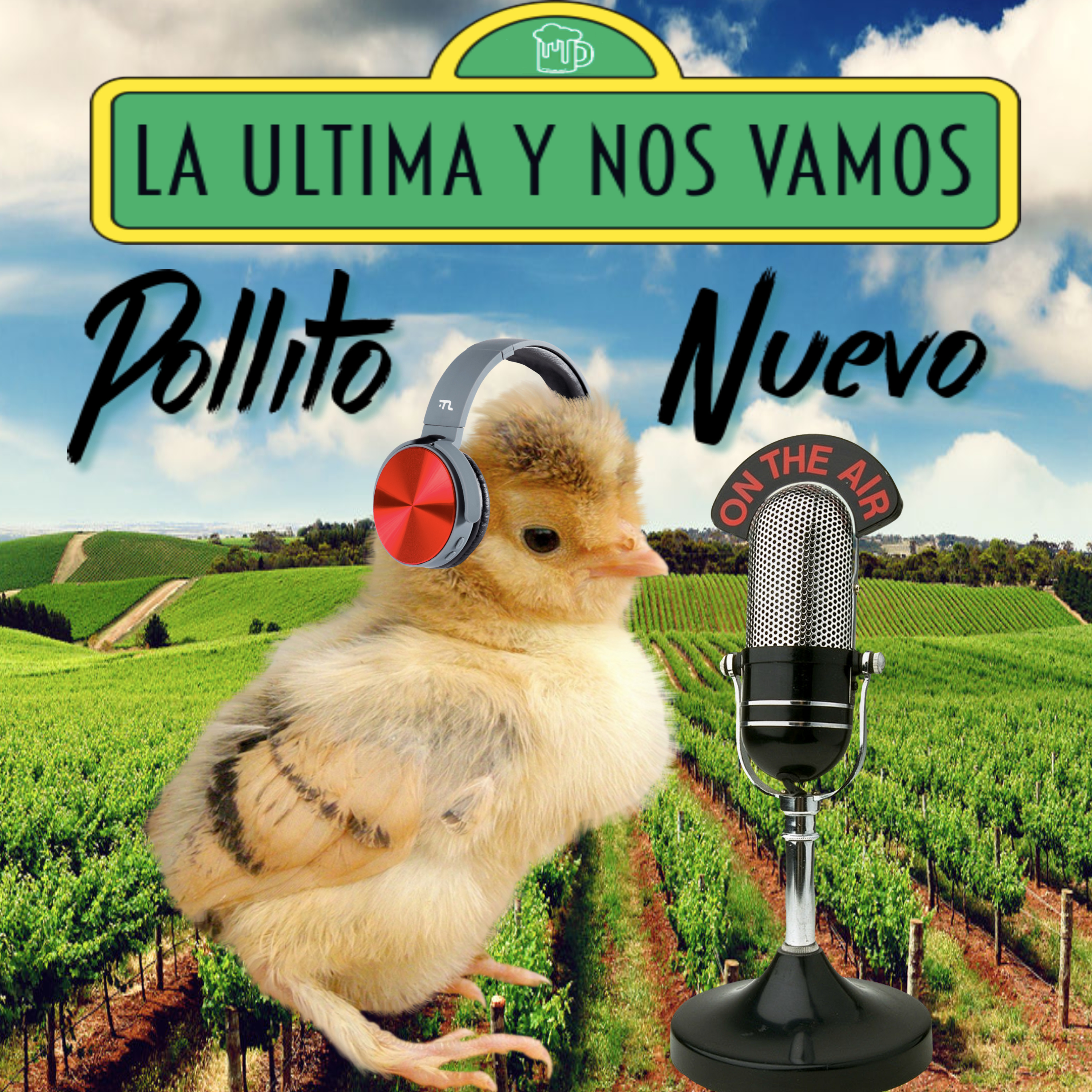 09 - Pollito nuevo episode artwork