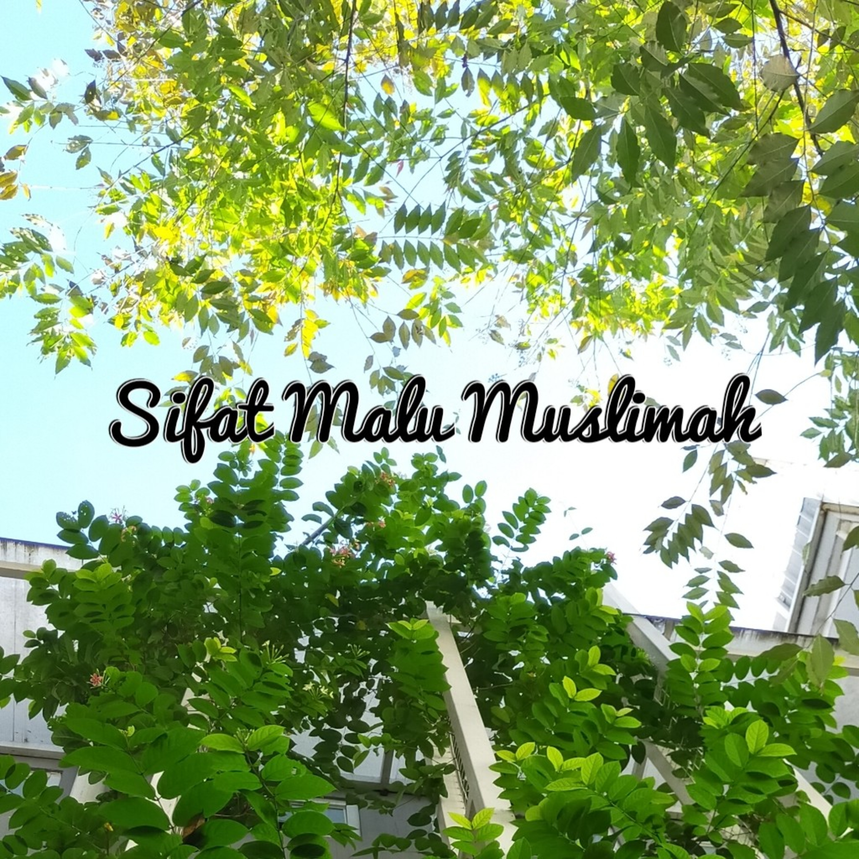 Sifat Malu Muslimah episode artwork
