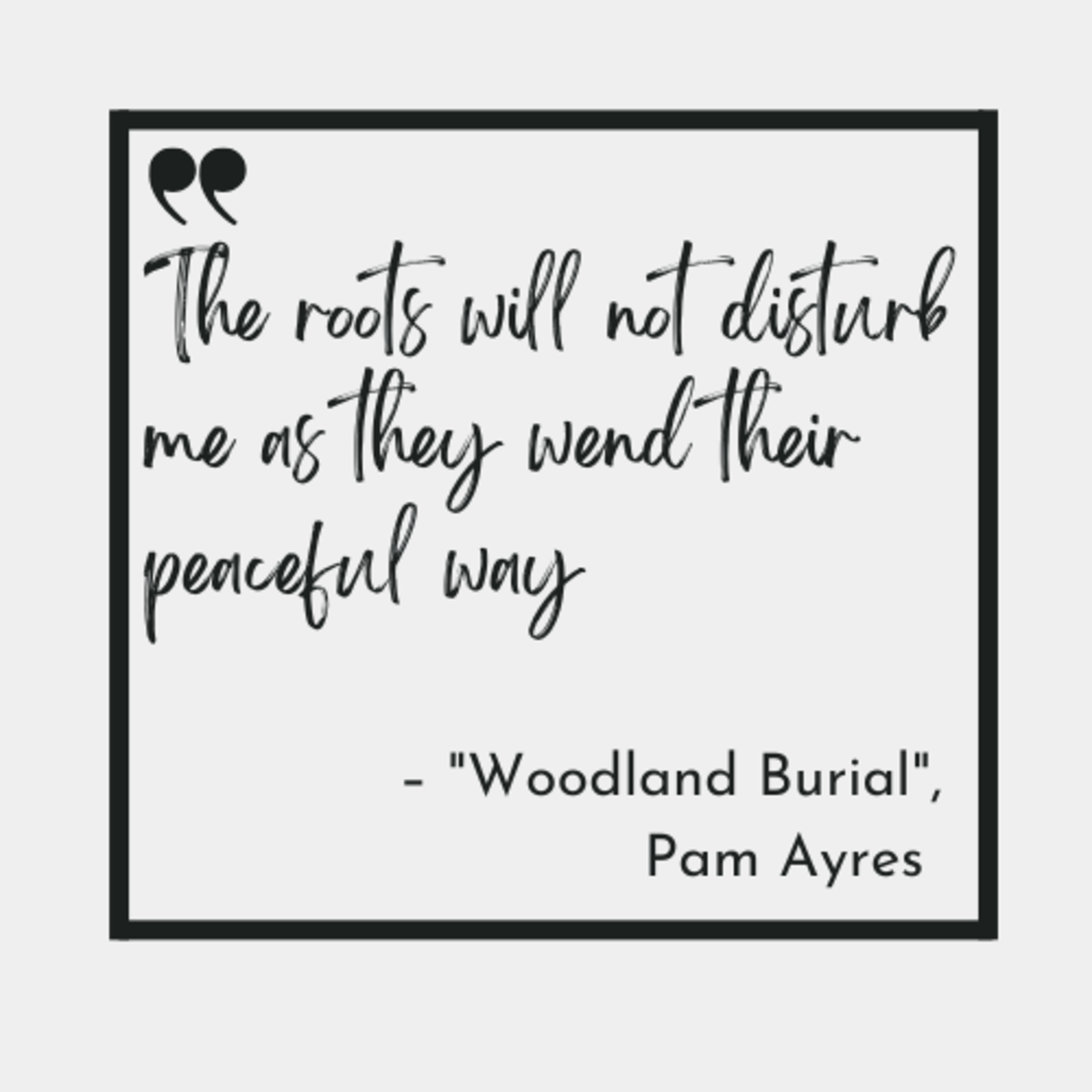 Poems for the Speed of Life