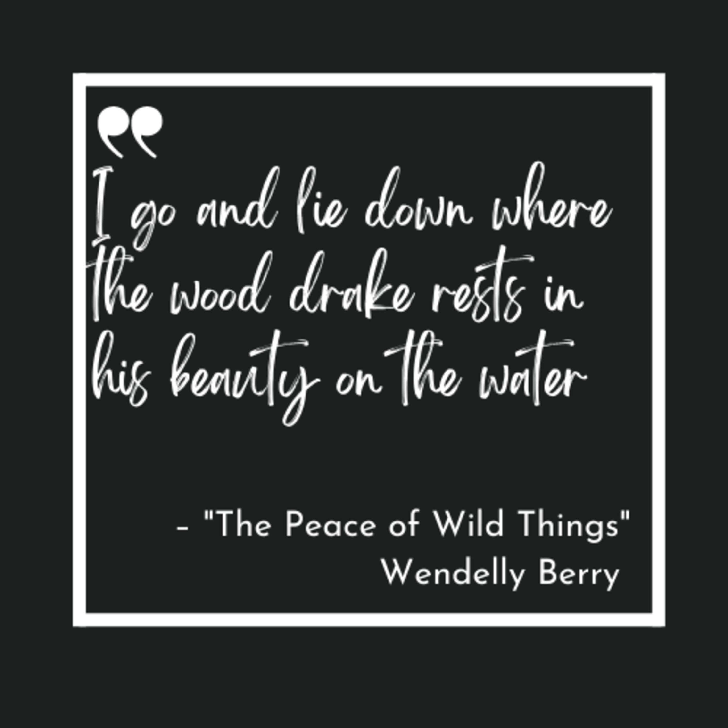 Poems for the Speed of Life